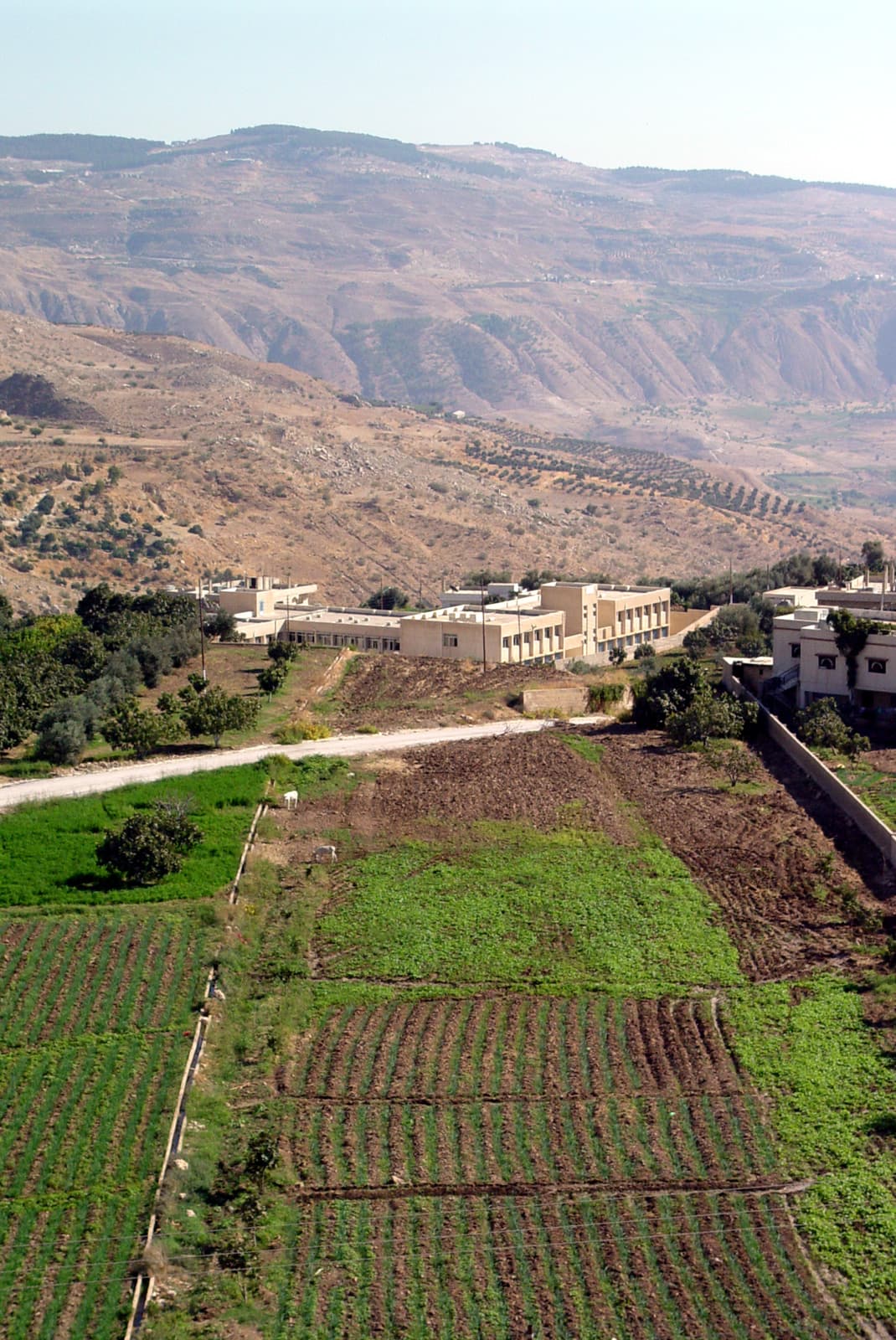 Wadi es-Sir 1