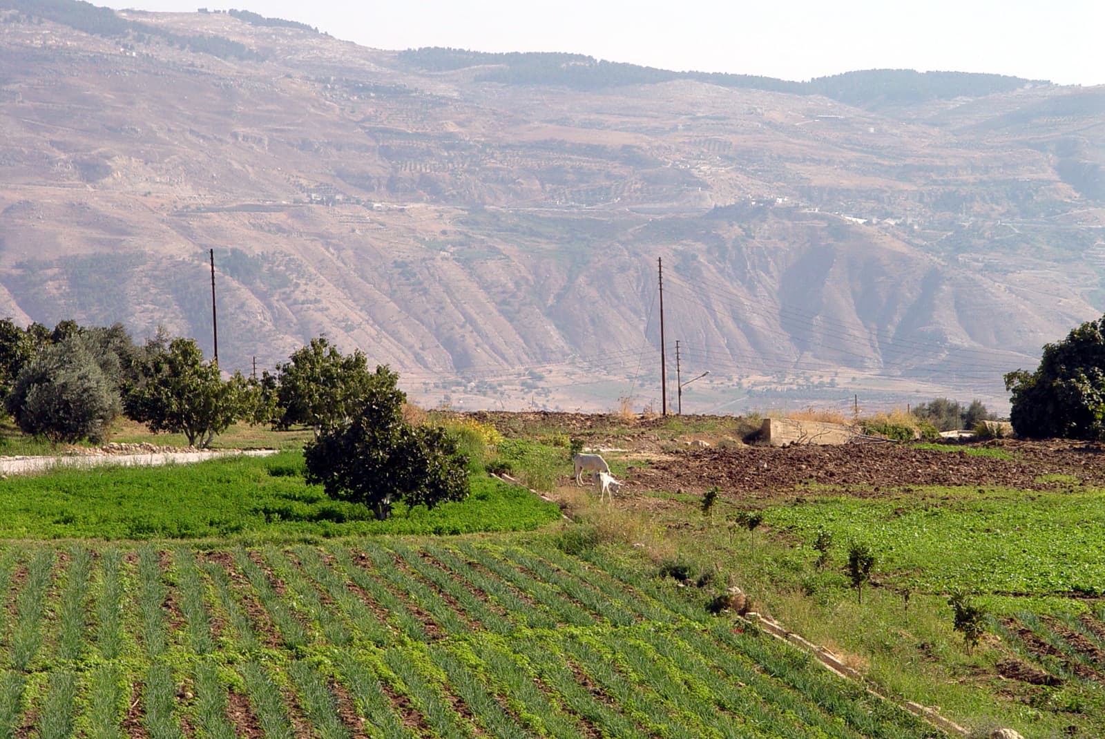 Wadi es-Sir 2