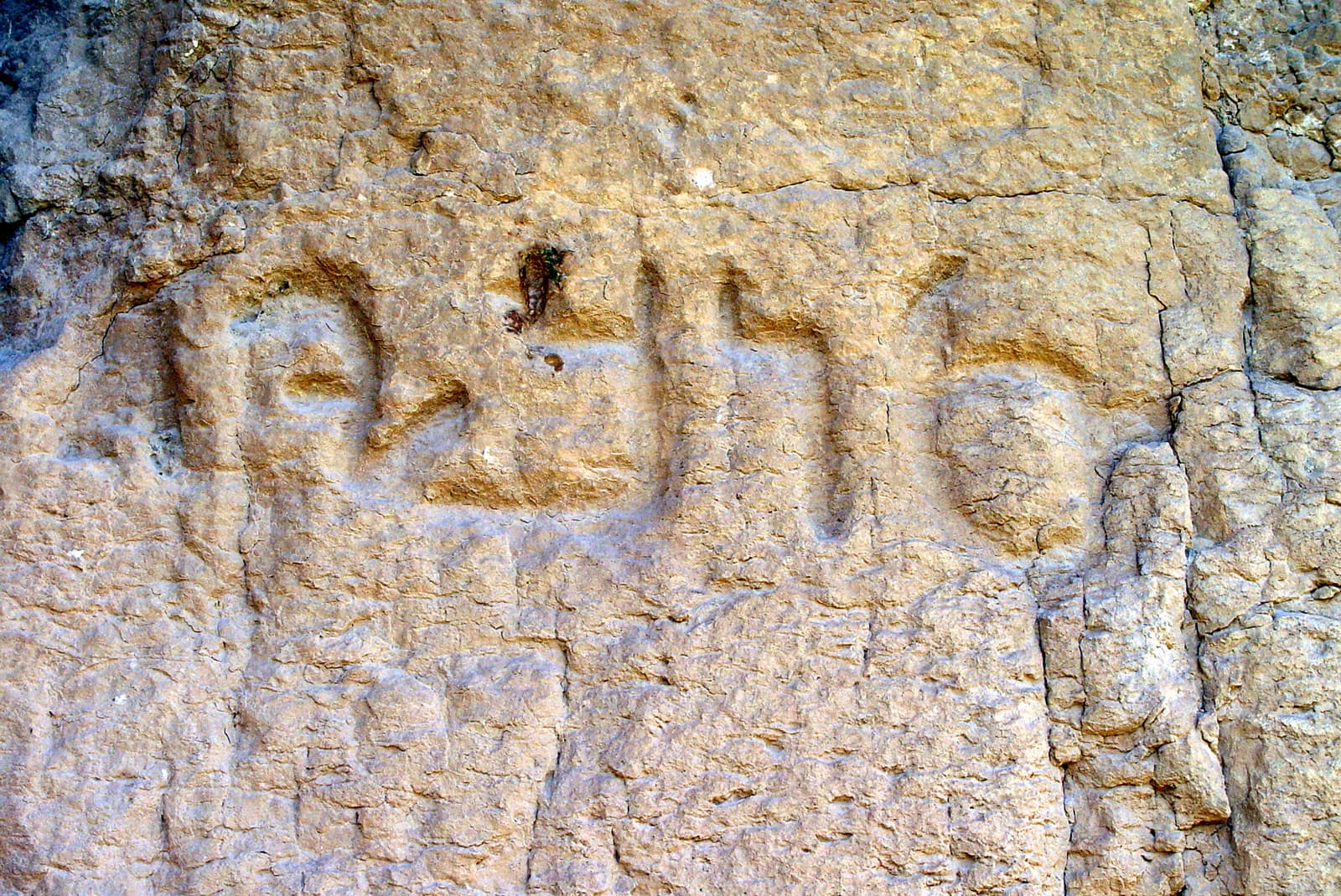 Cave 1 & Inscription (Detail)