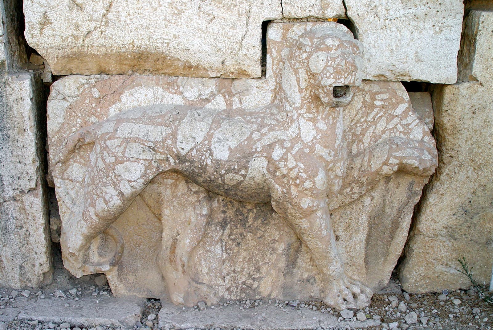Leopard Fountain