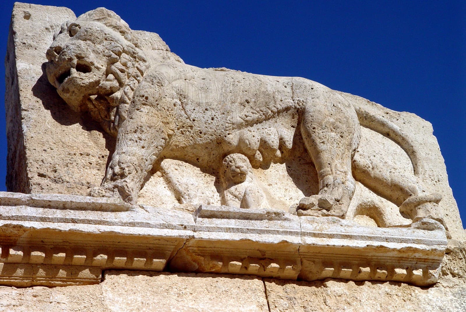 Lioness & Cub