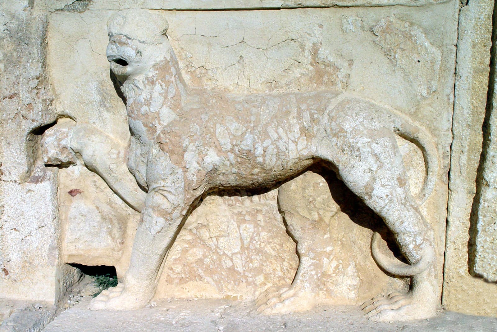 Leopard Fountain