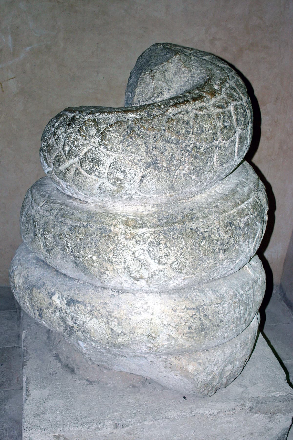 Coiled Snake