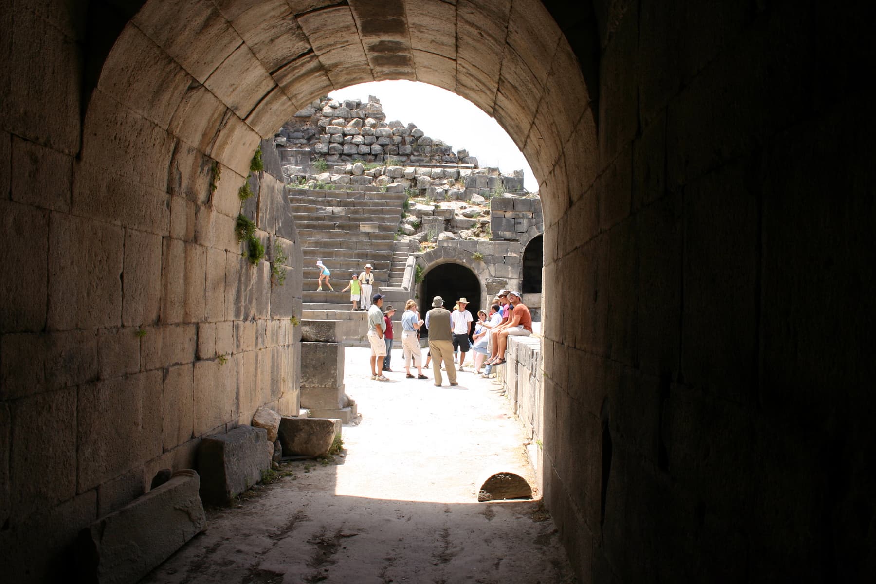 Vomitorium