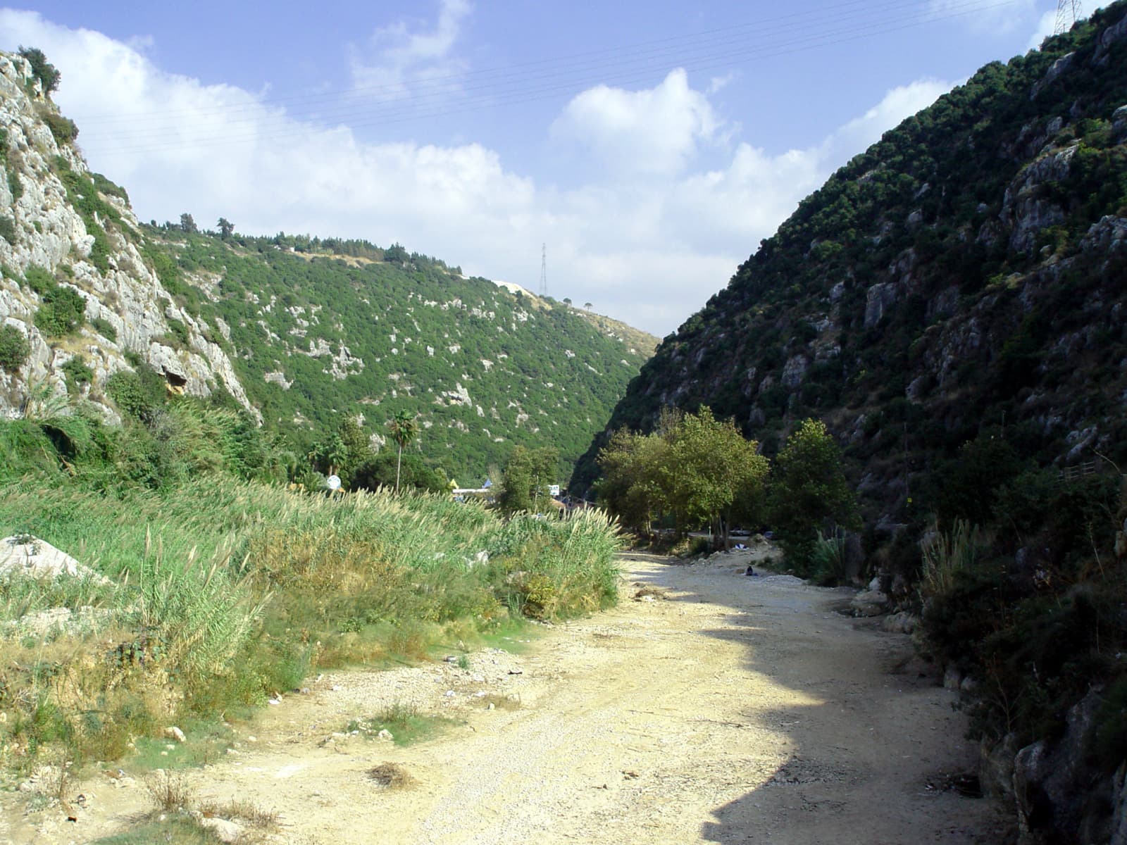 River/Wadi Bed