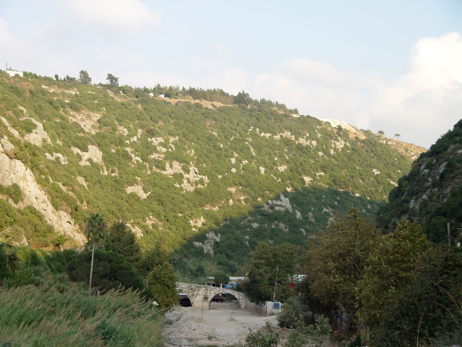 Arab/Turkish Bridge