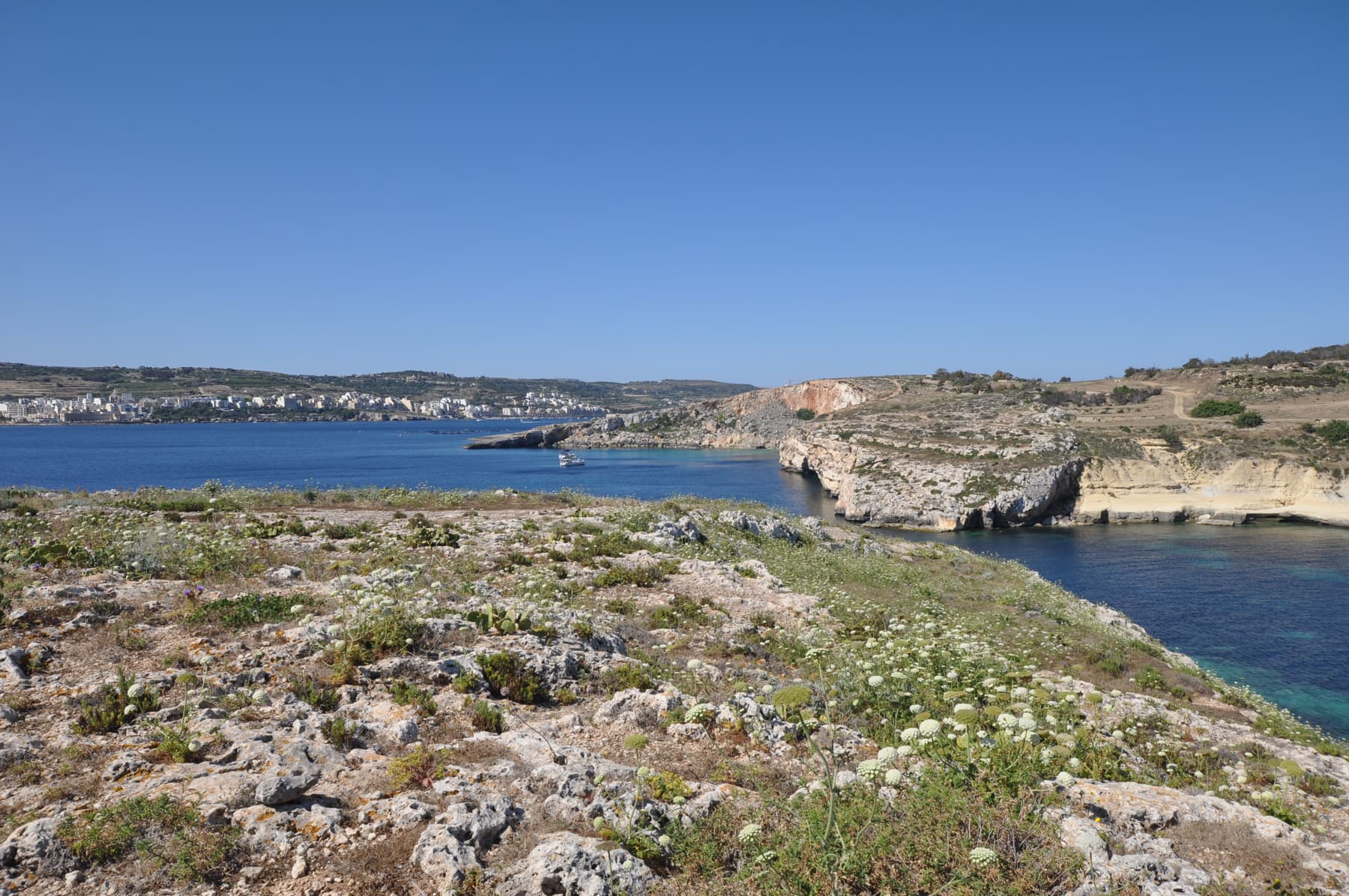 Saint Paul's Island 4