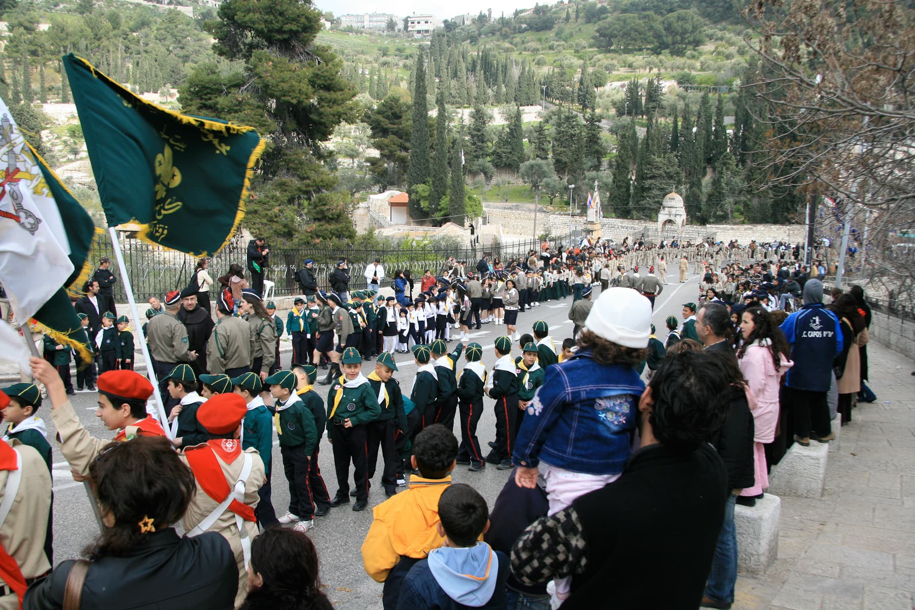 Scouts Line Up