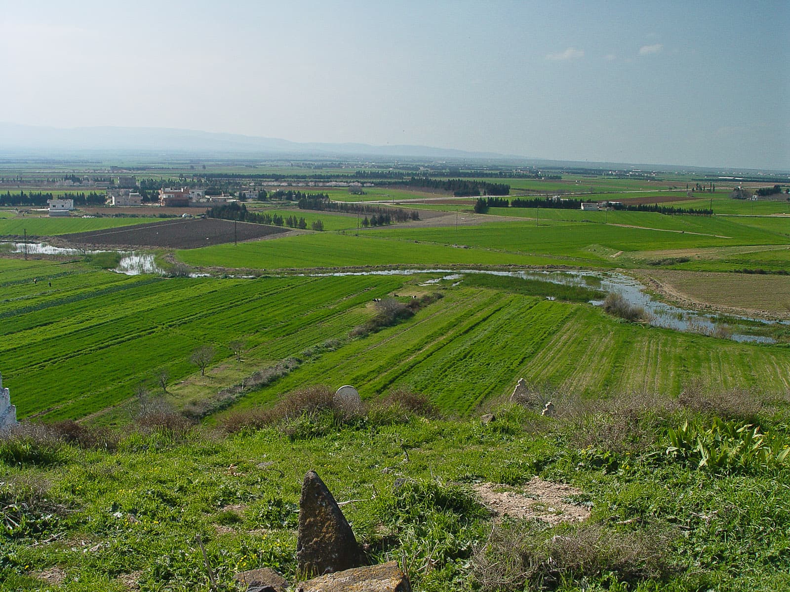 Kadesh 1