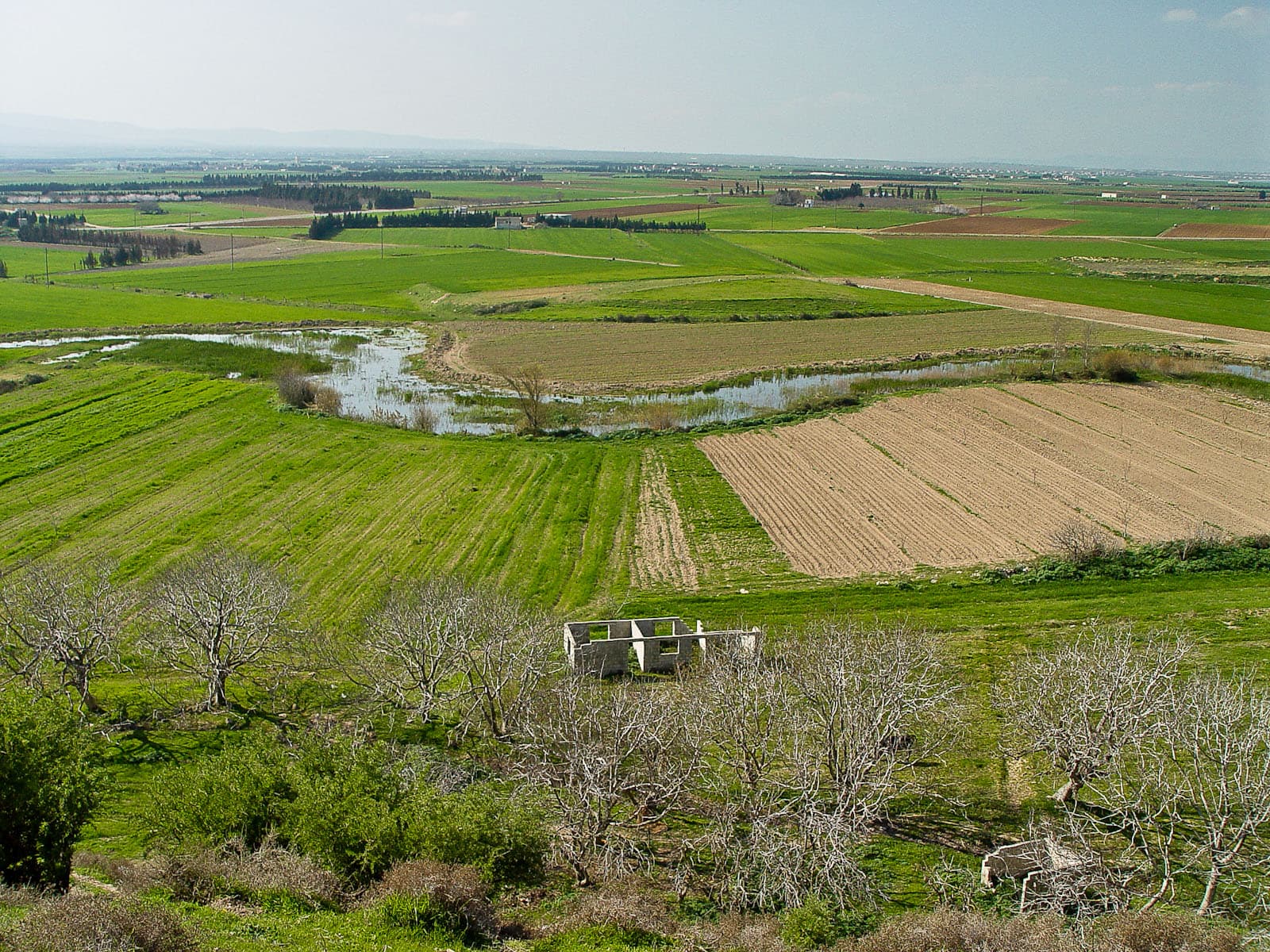 Kadesh 2
