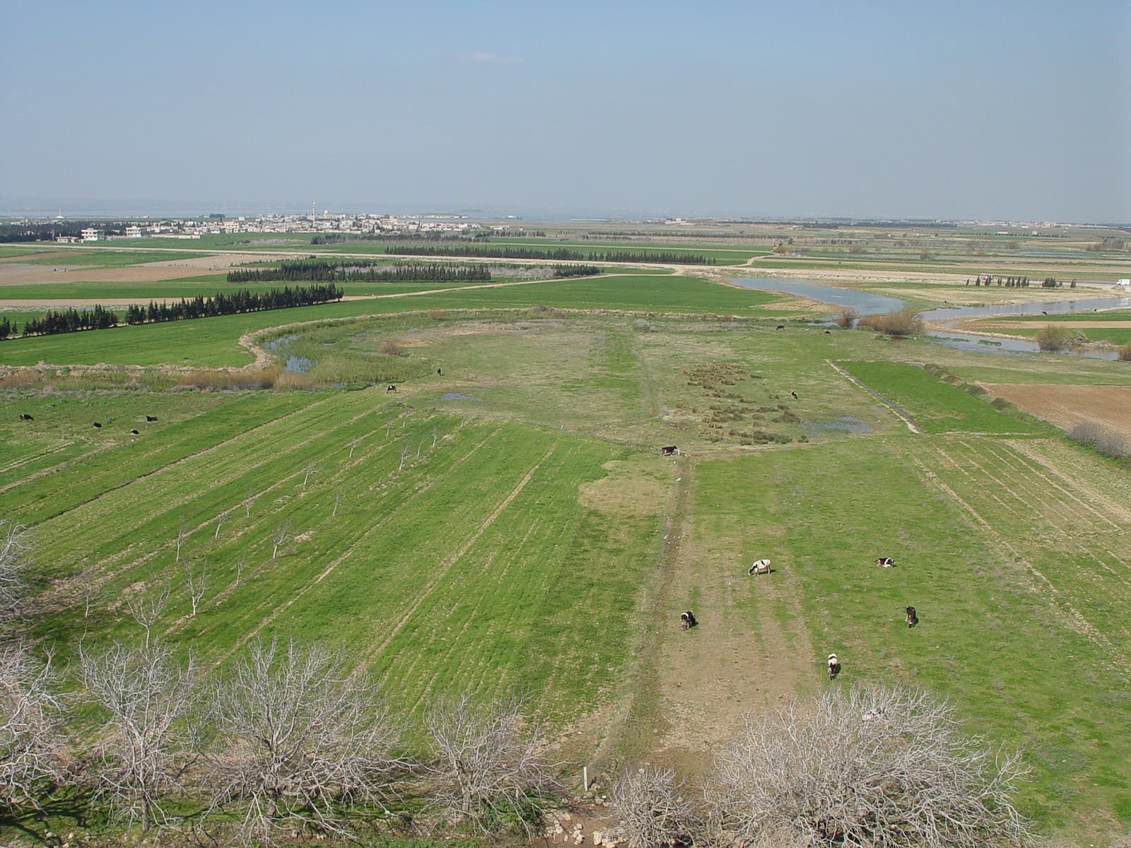 Kadesh 3