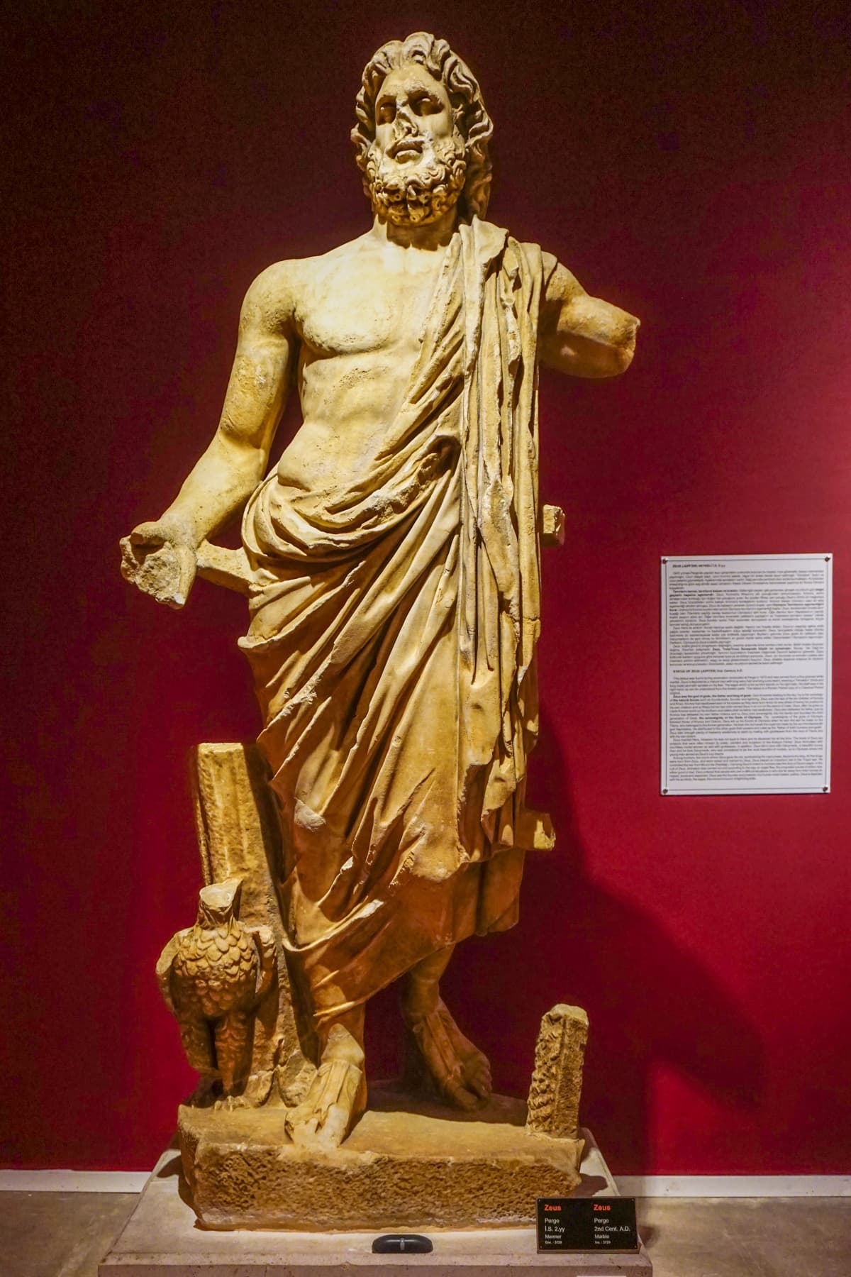 Zeus