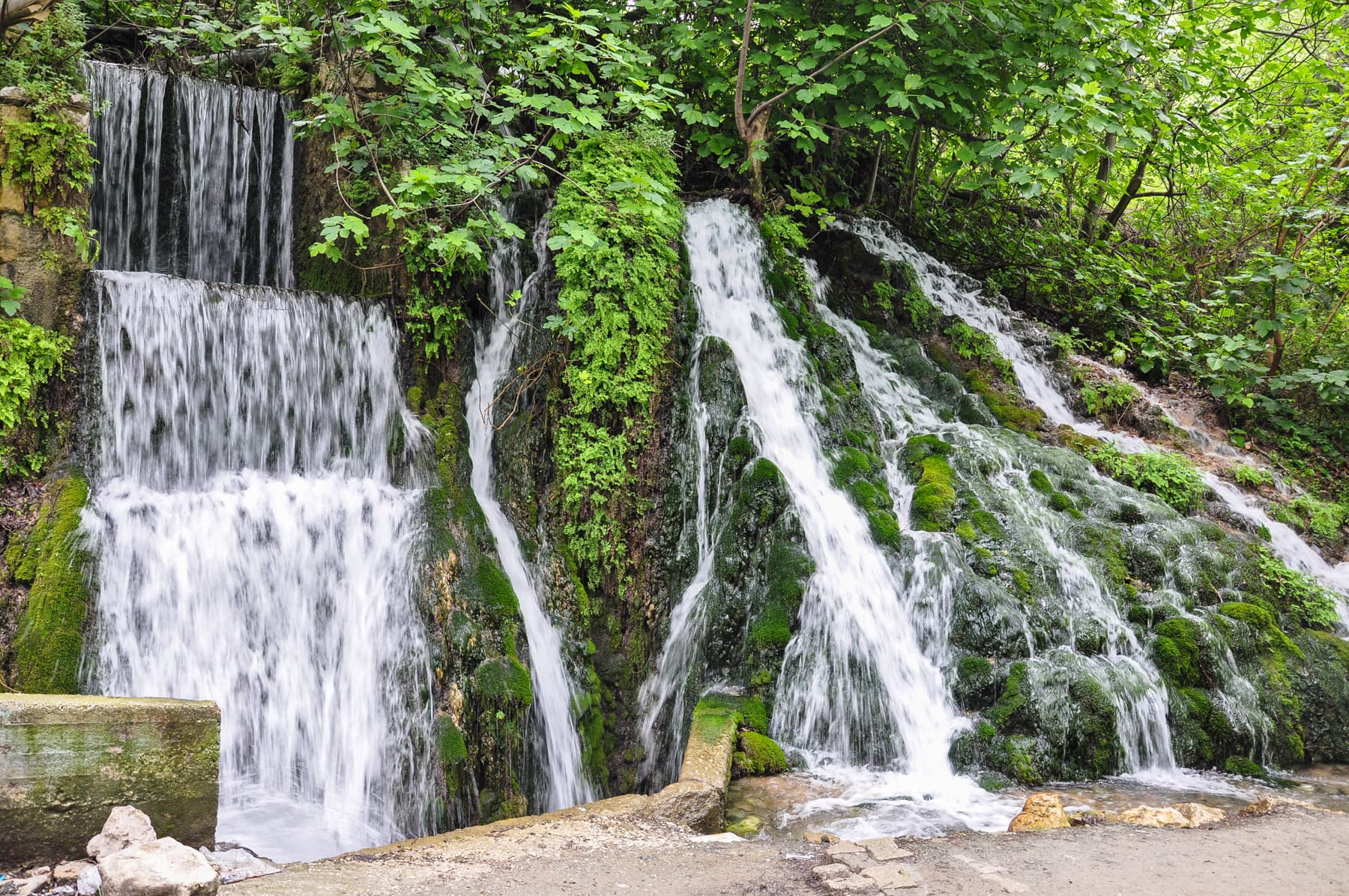 Daphne Waterfalls 1