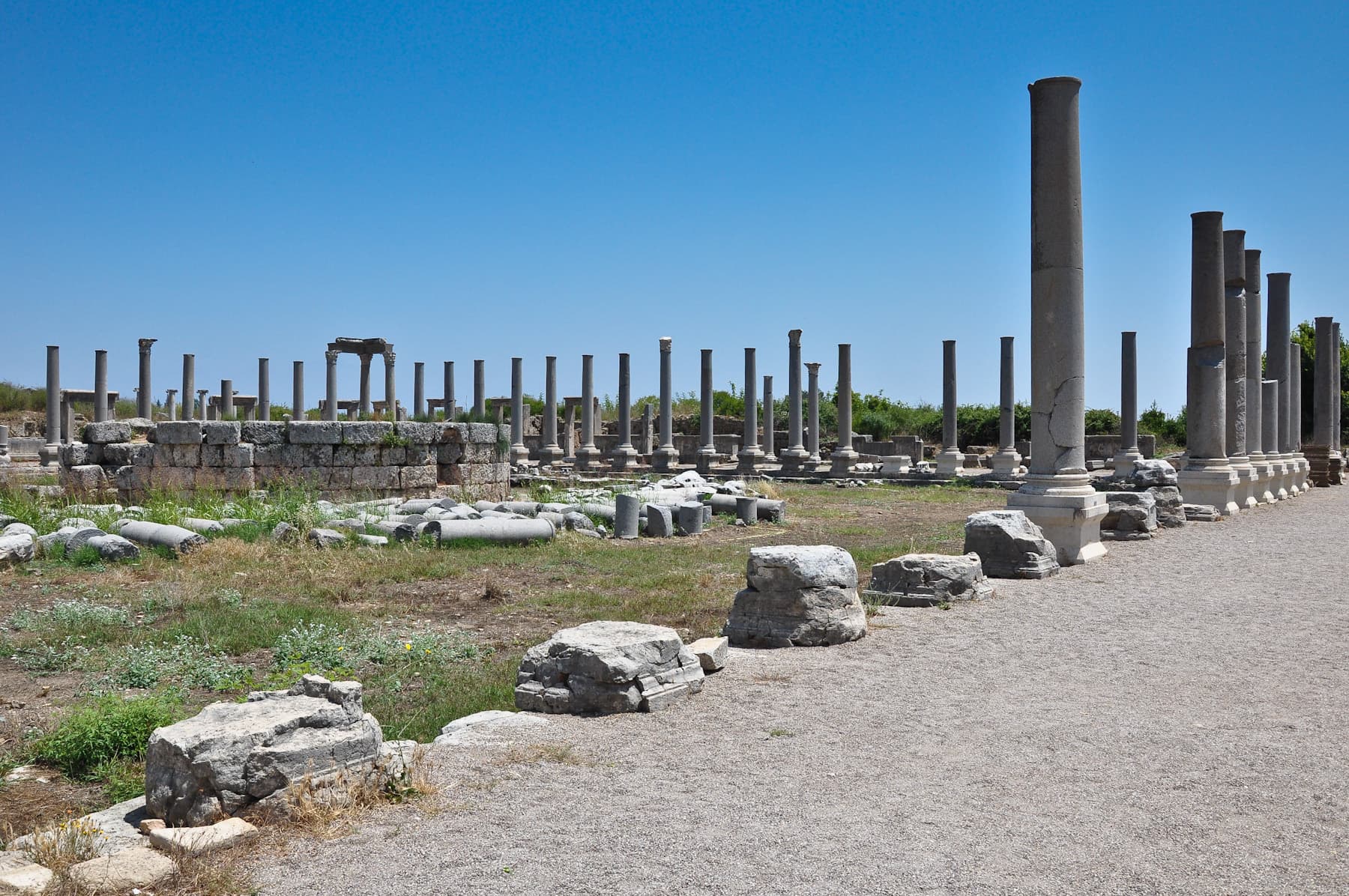 Forum Overview