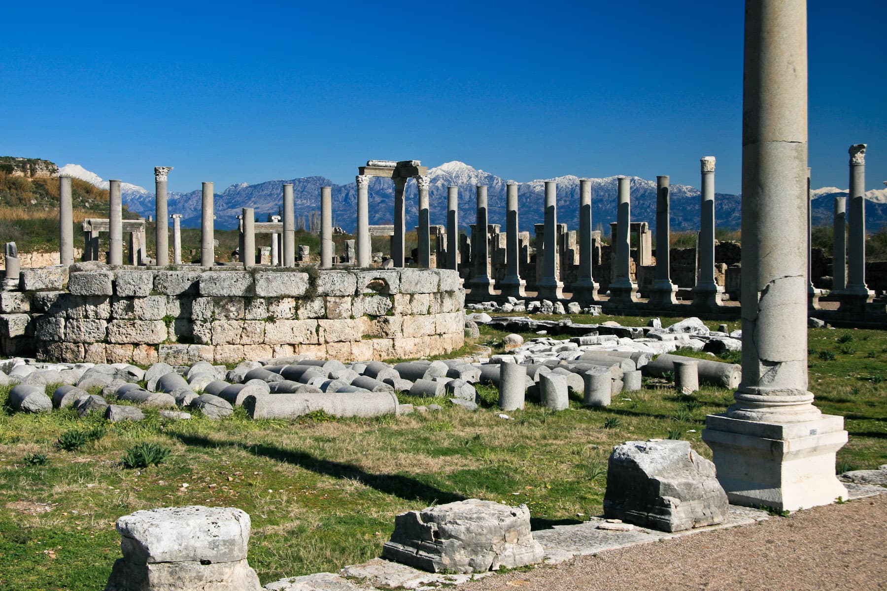 Circular Structure in Forum