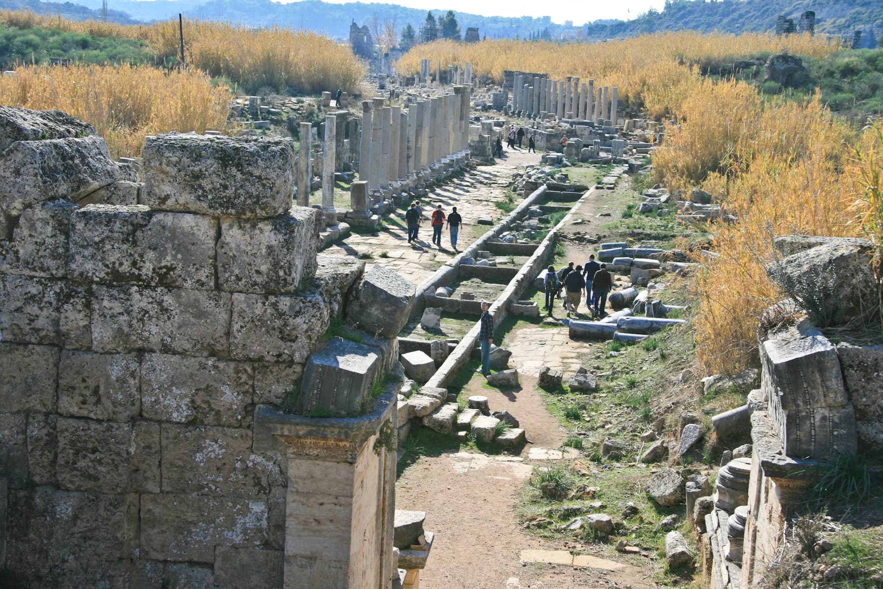 Street (cardo)