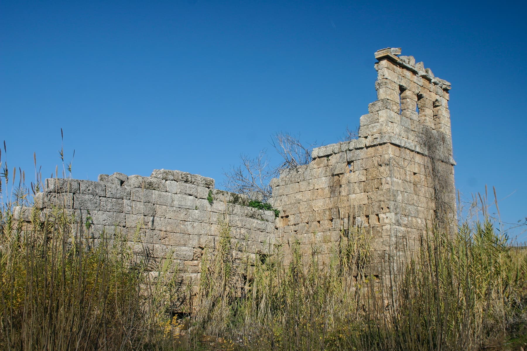 Hellenistic Towers