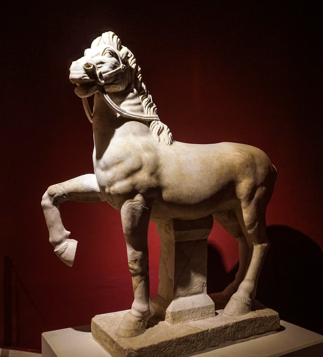 Prancing Horse