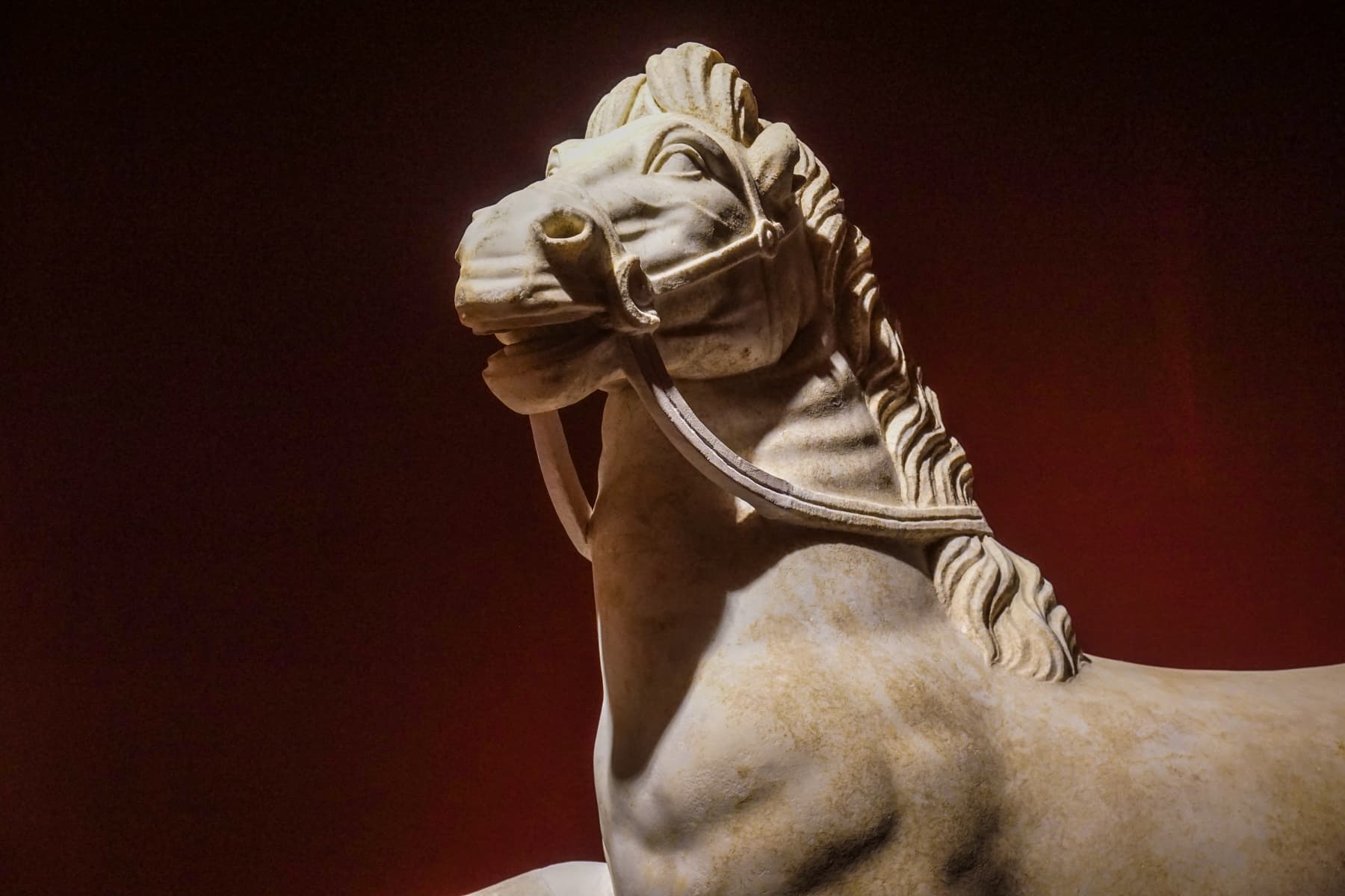 Prancing Horse Head 1