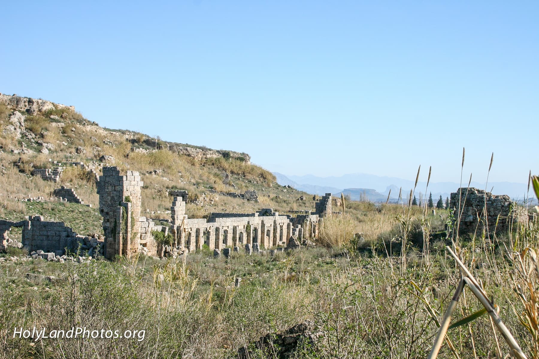Palestra Before Excavation