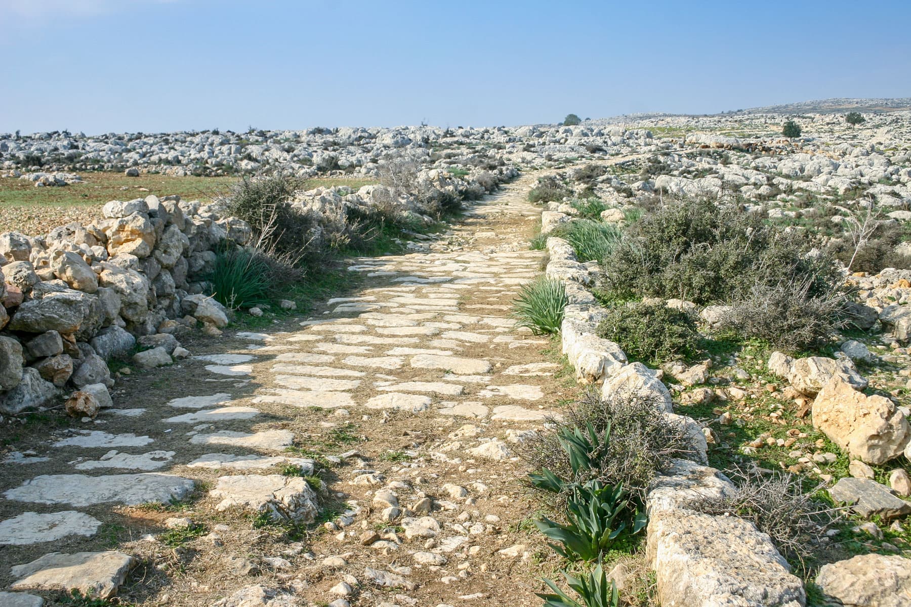 Roman Road 3