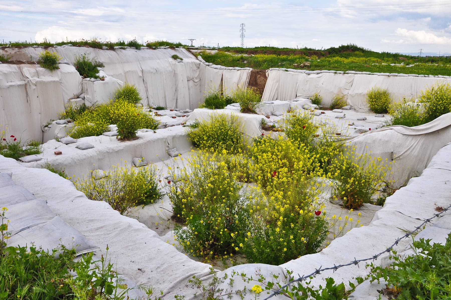 Excavation 1
