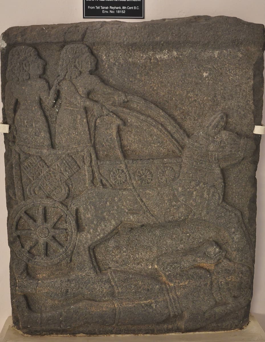 Chariot Orthostat