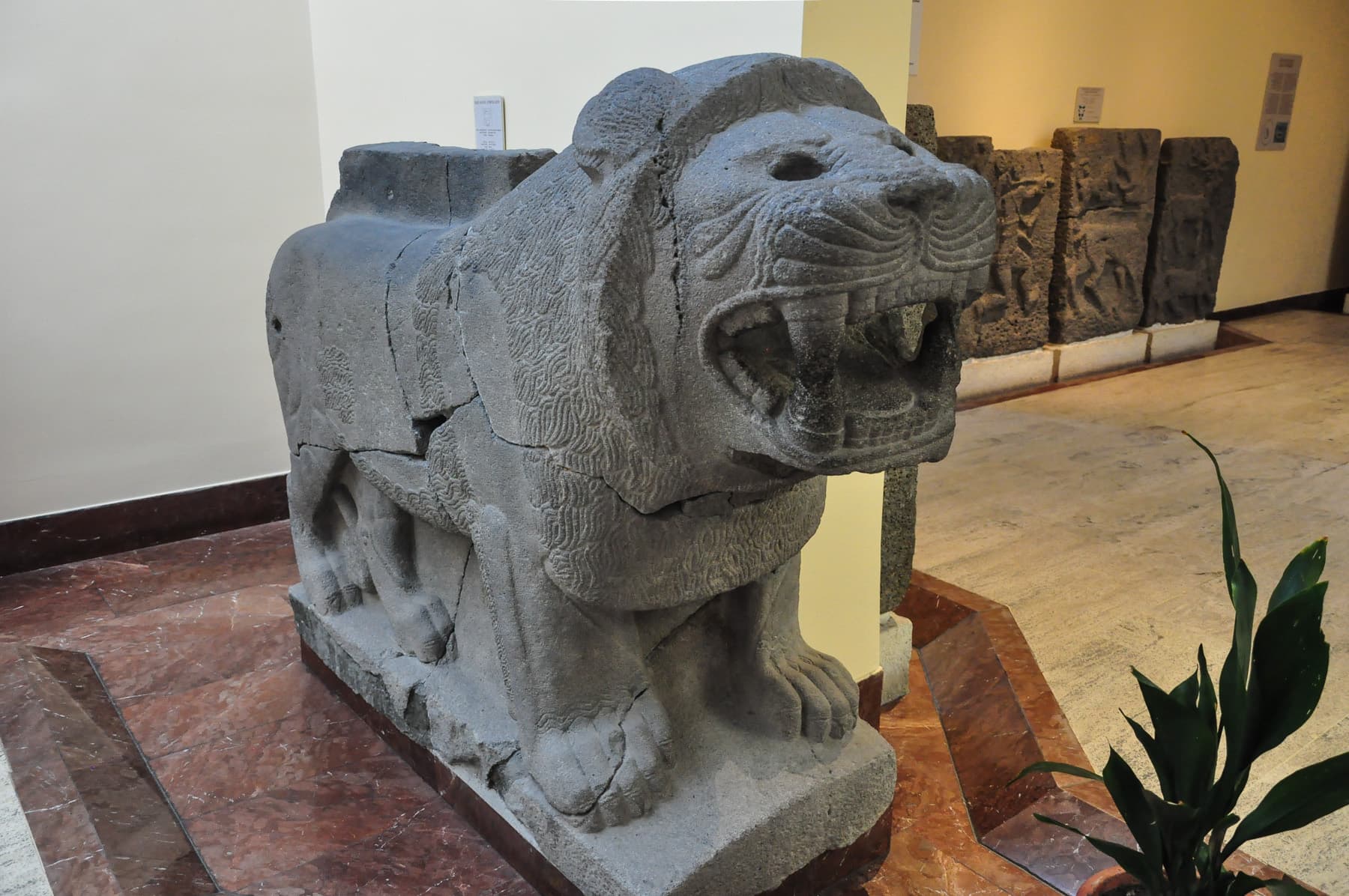 Lion Orthostat