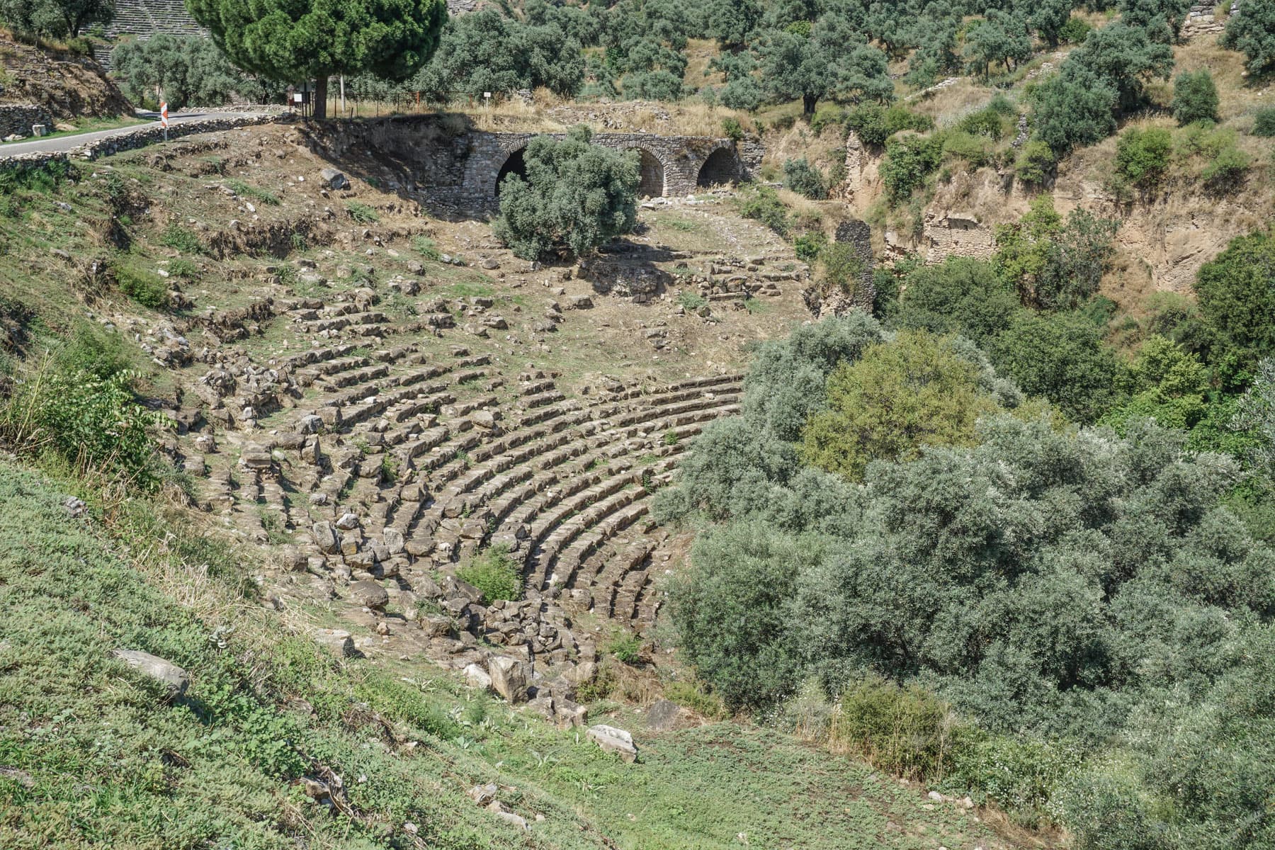 Stadium/Amphitheater Detail