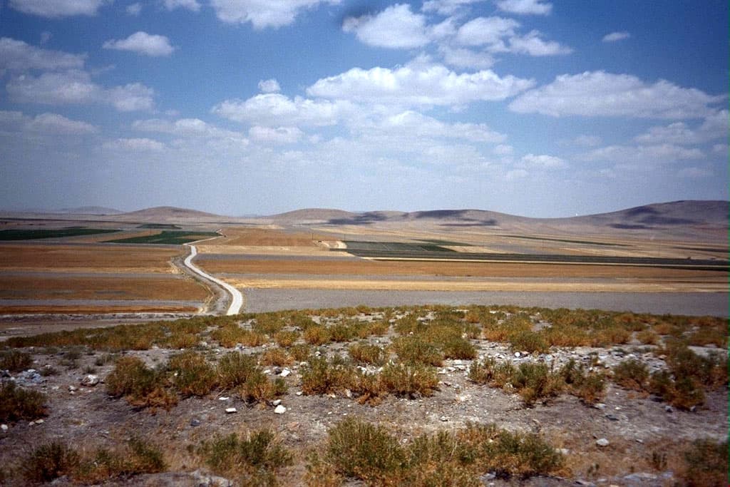 Looking North