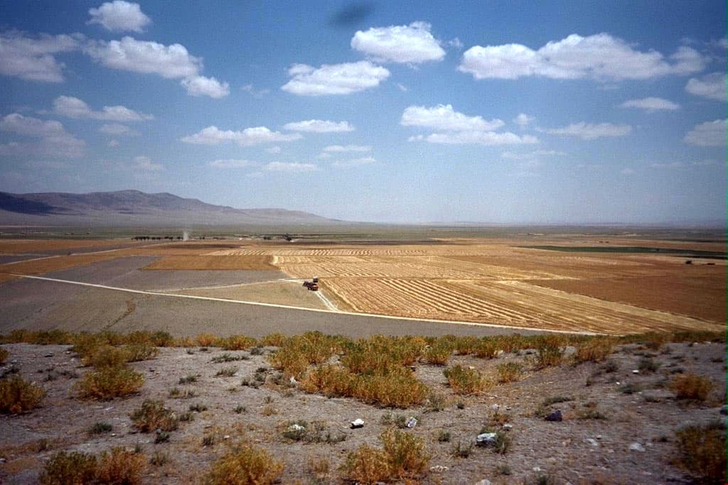 Path to Tarsus