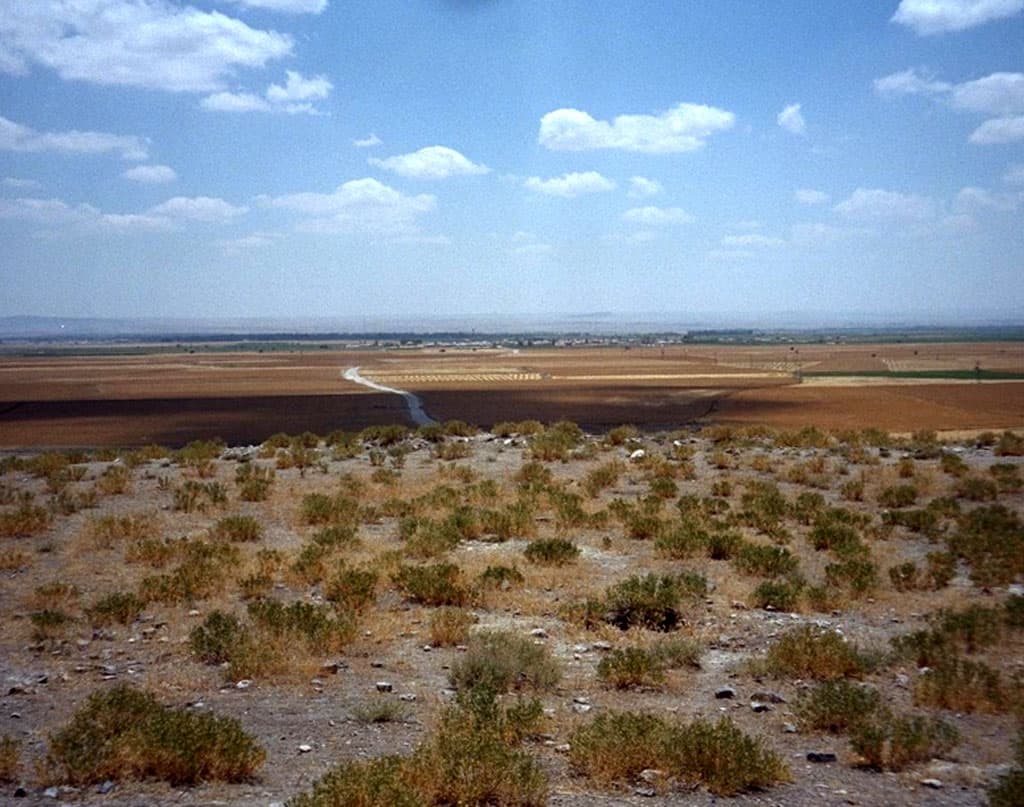 Looking South