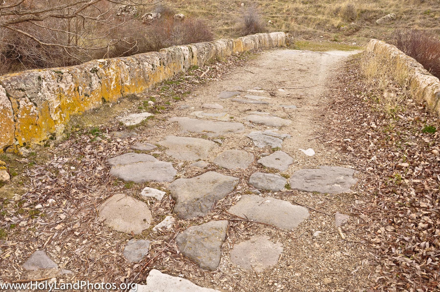 Yunuslar - Bridge Surface