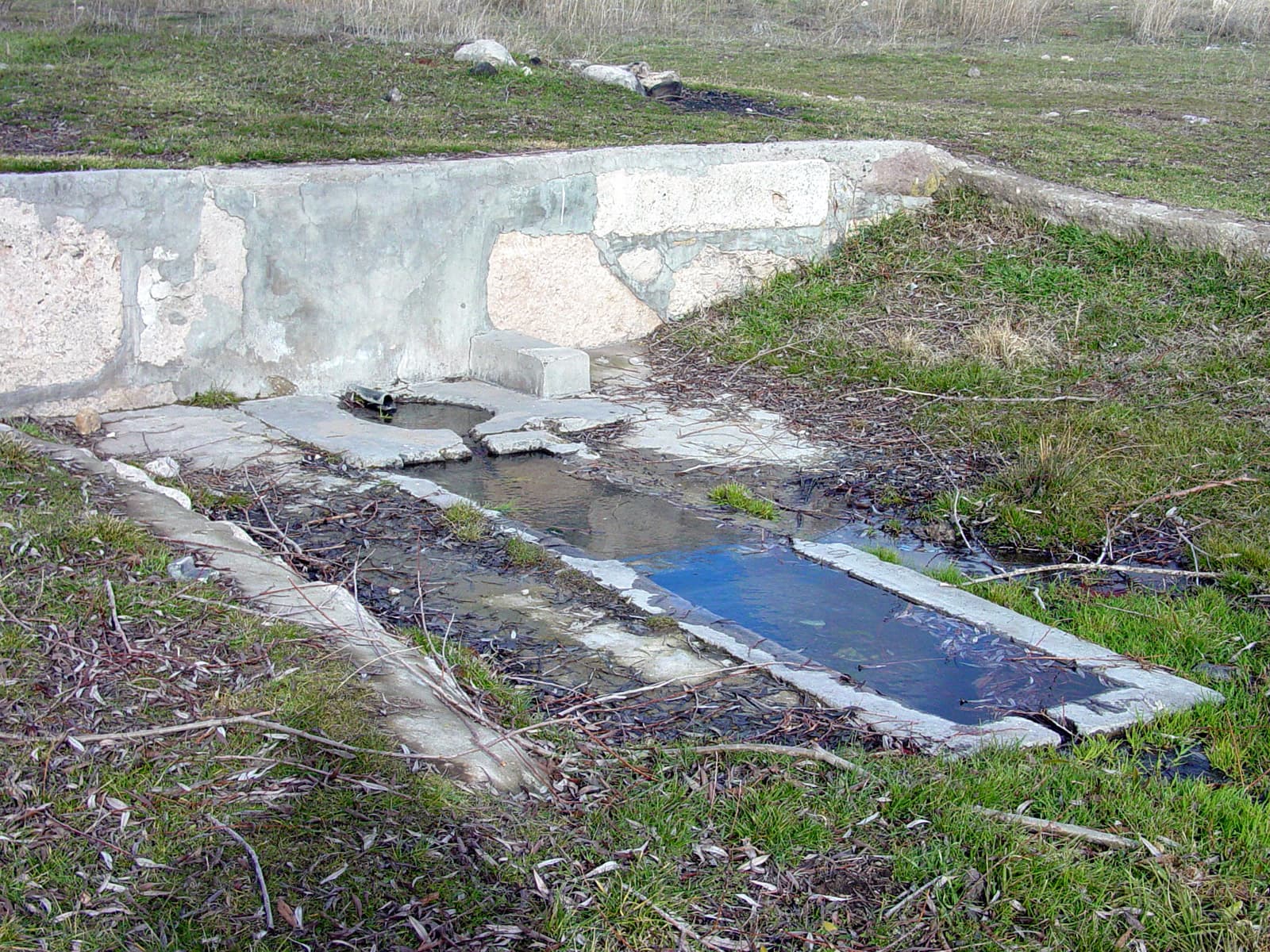Spring of St. Paul (detail)