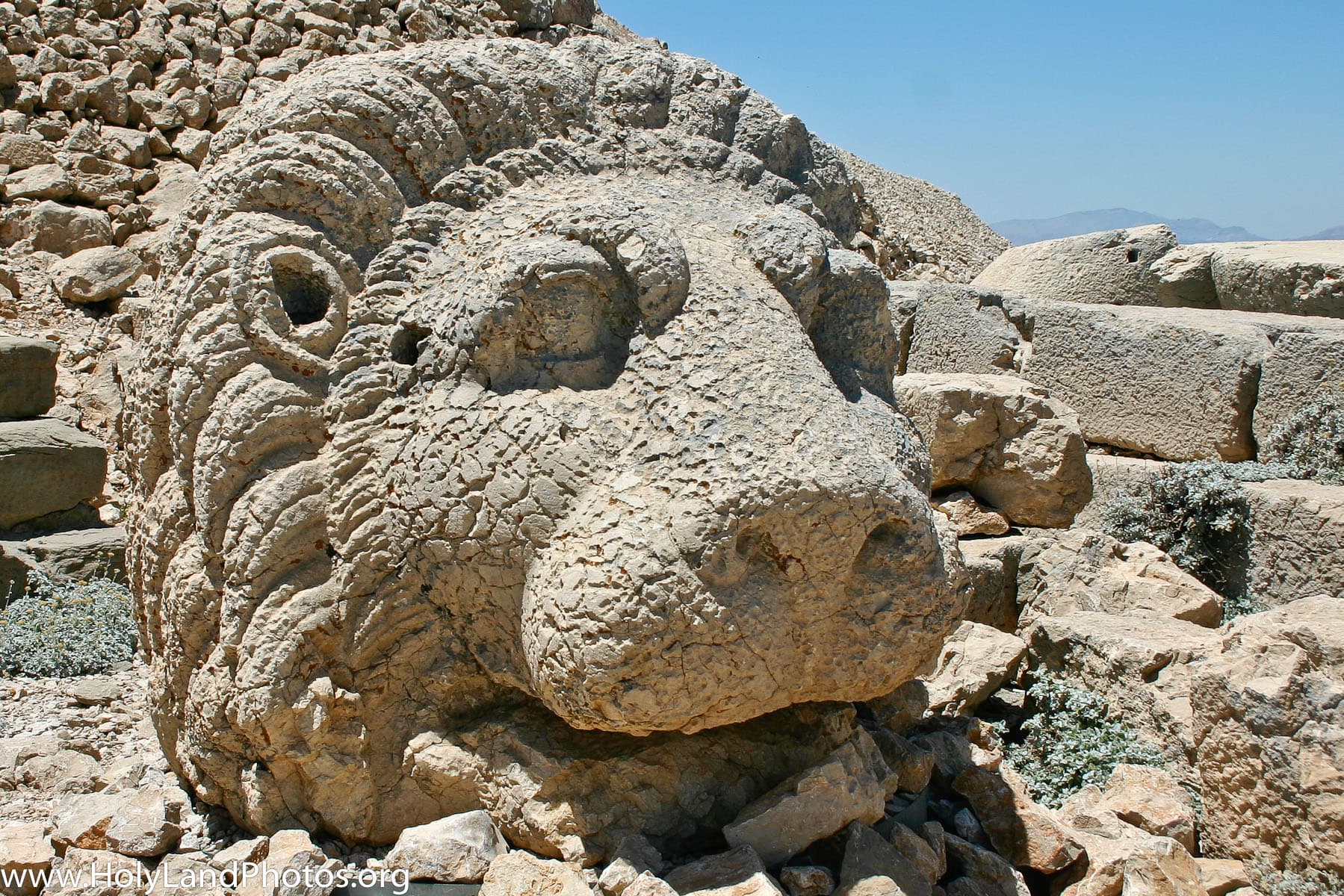 East Terrace Lion Head