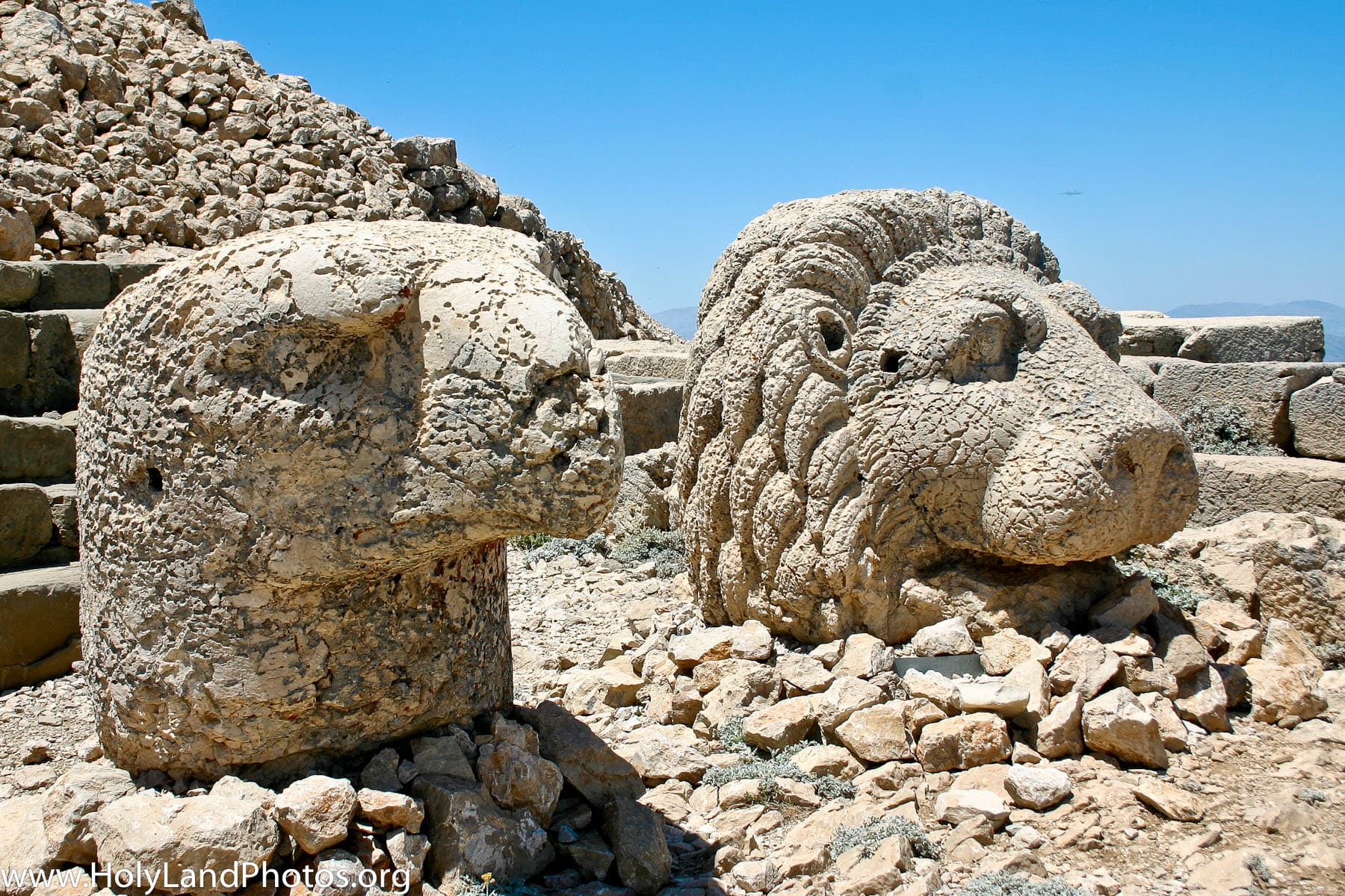 East Terrace Eagle Head