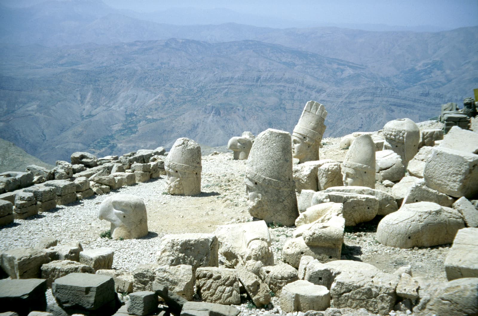 West Terrace