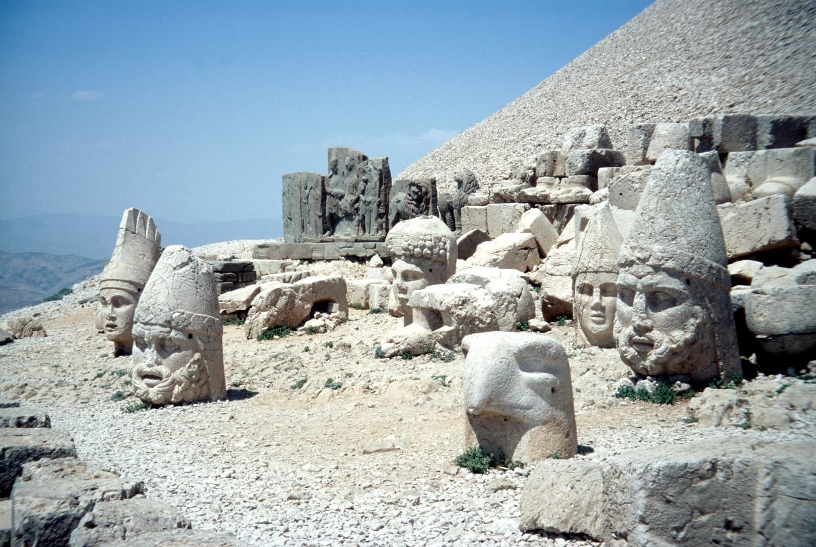West Terrace Heads