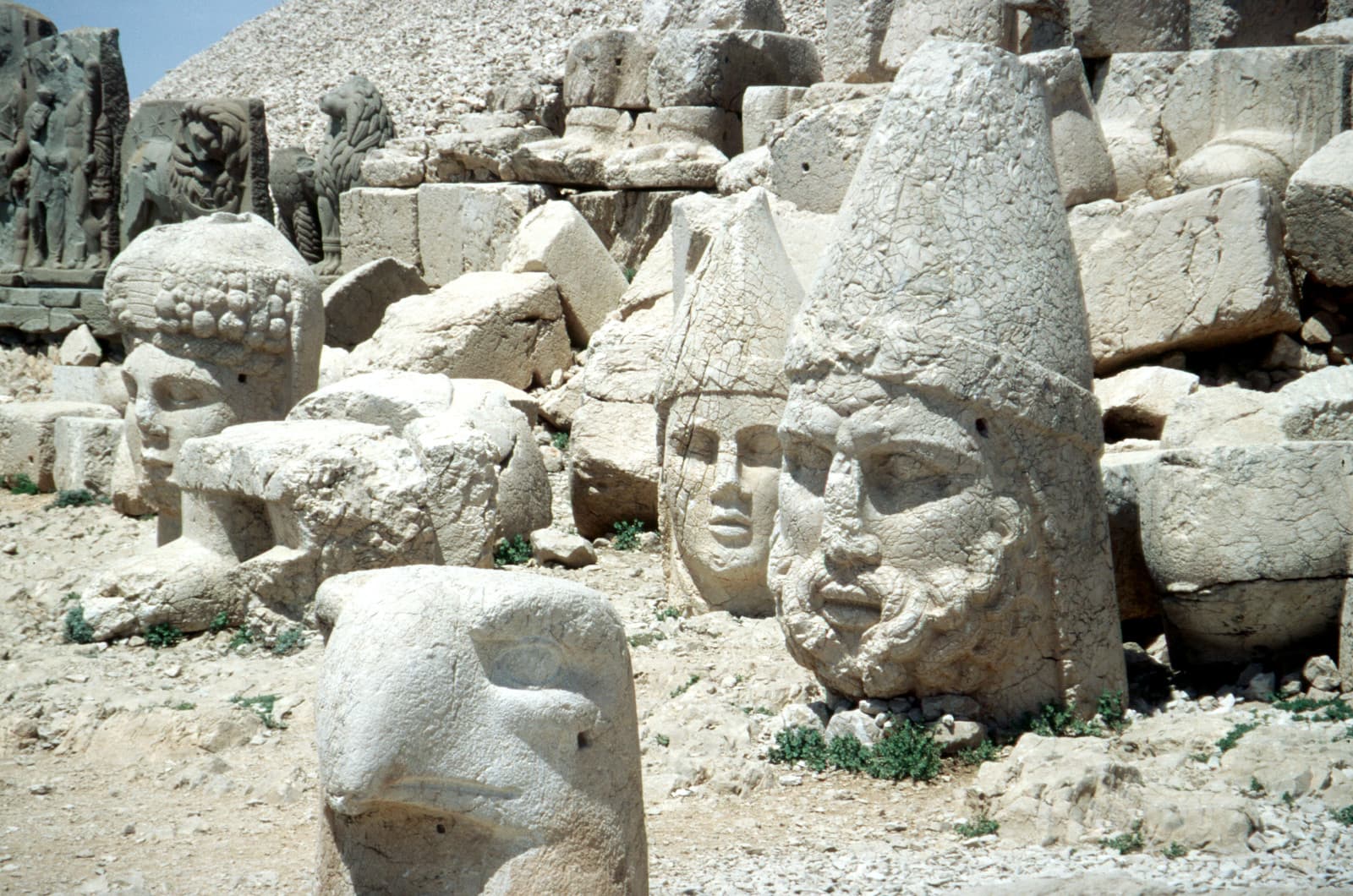 West Terrace Heads Detail
