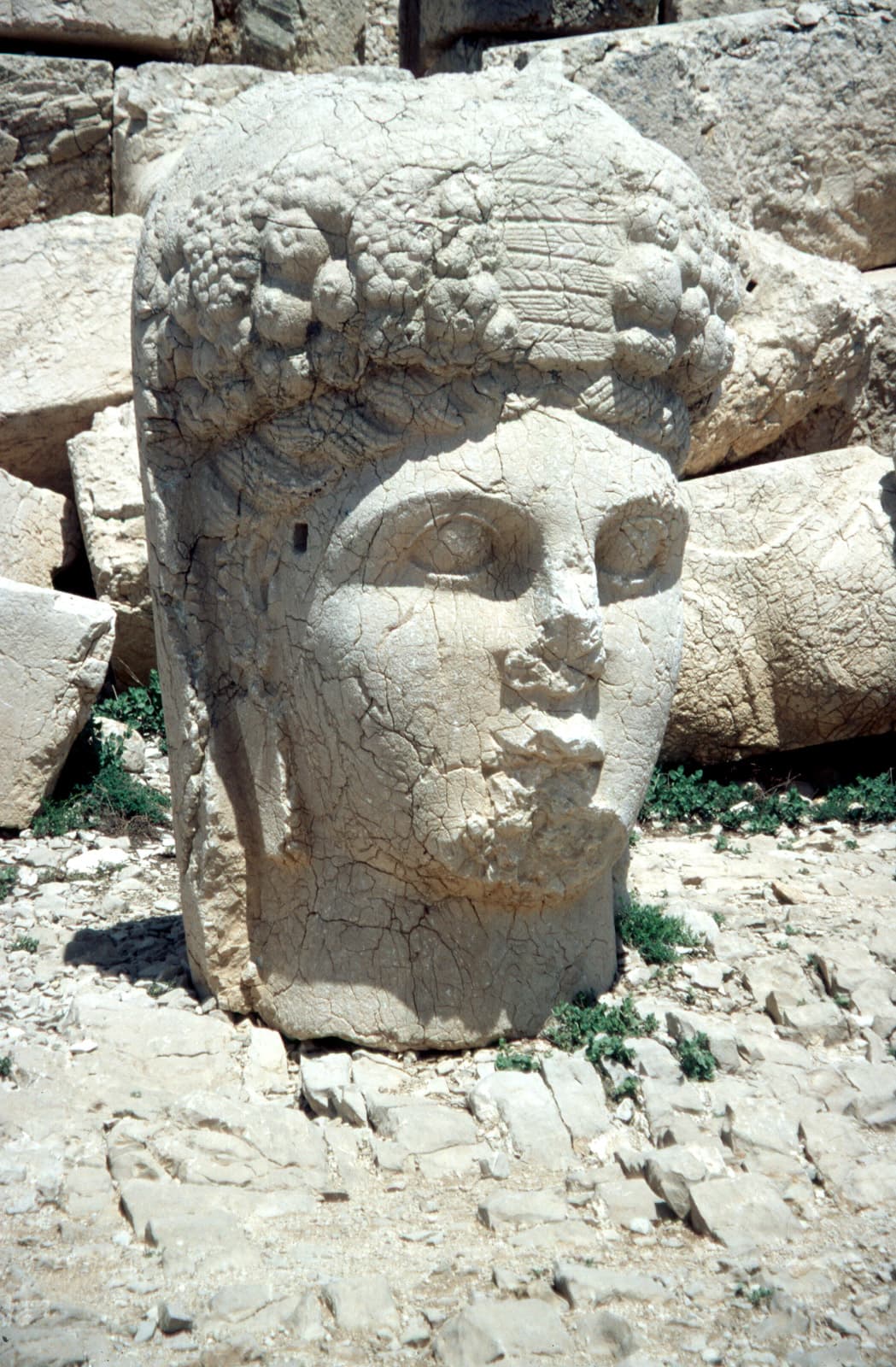 West Terrace Tyche