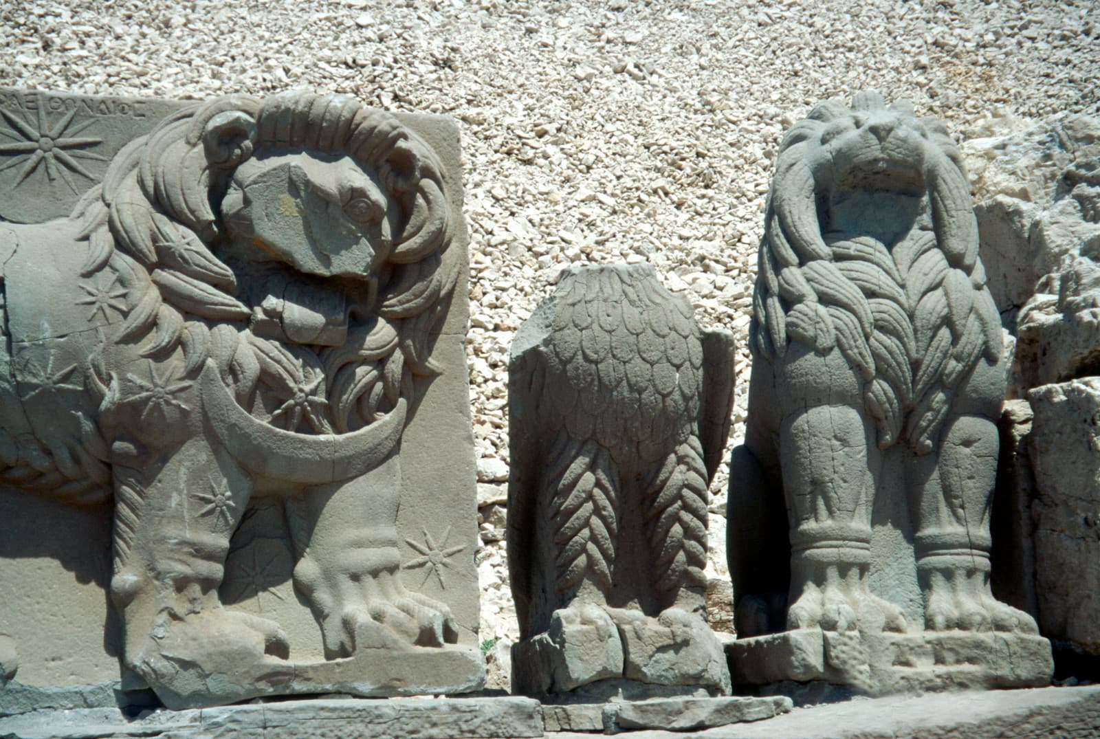 West Terrace Lions and Eagle