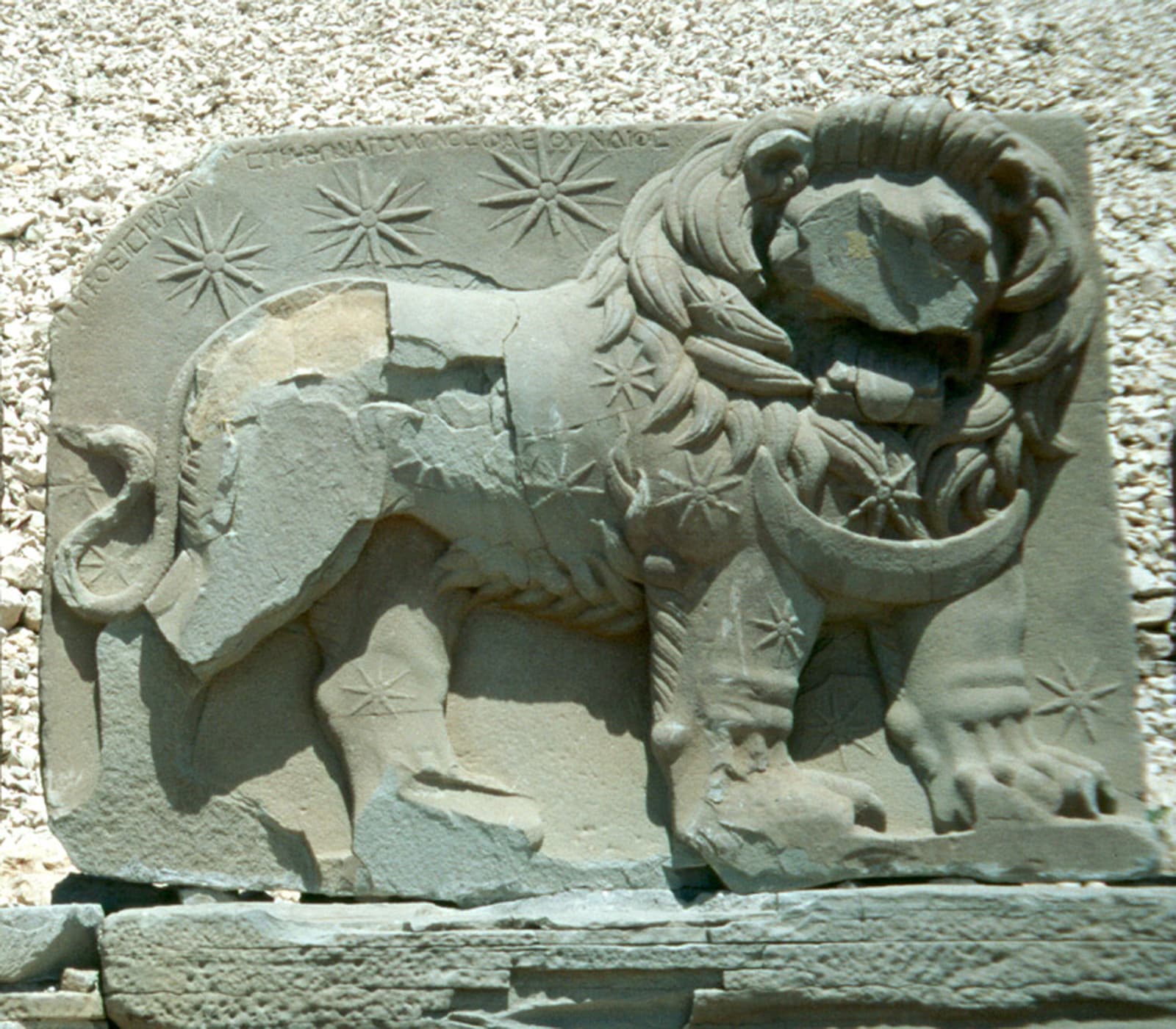 West Terrace Lion Horoscope