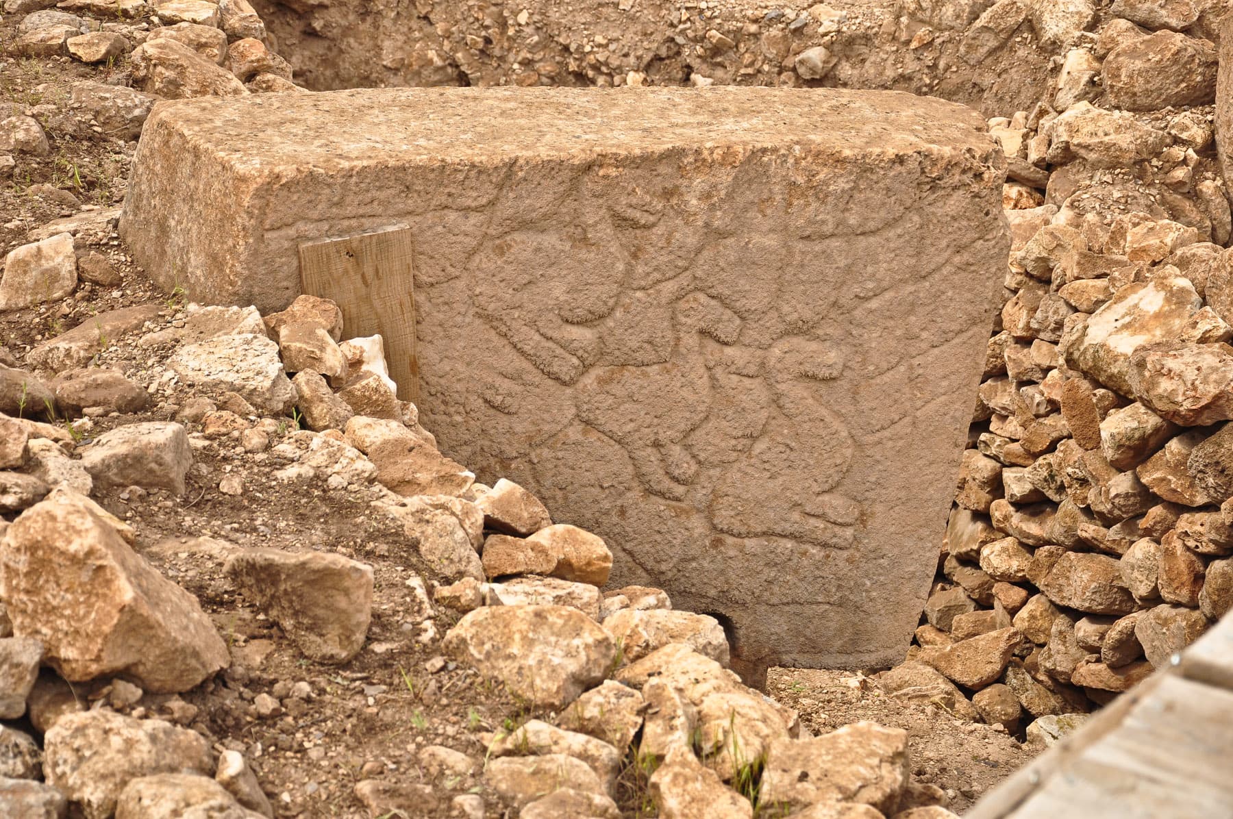 Animals — Carved in stone 11,600 years ago