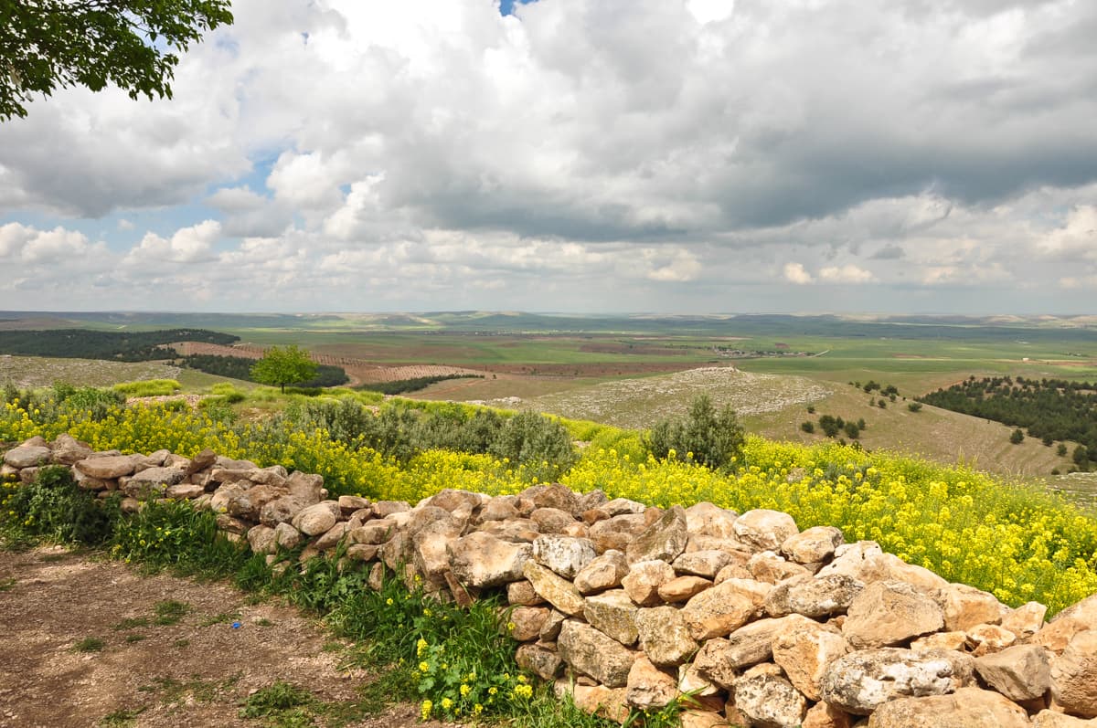Countryside
