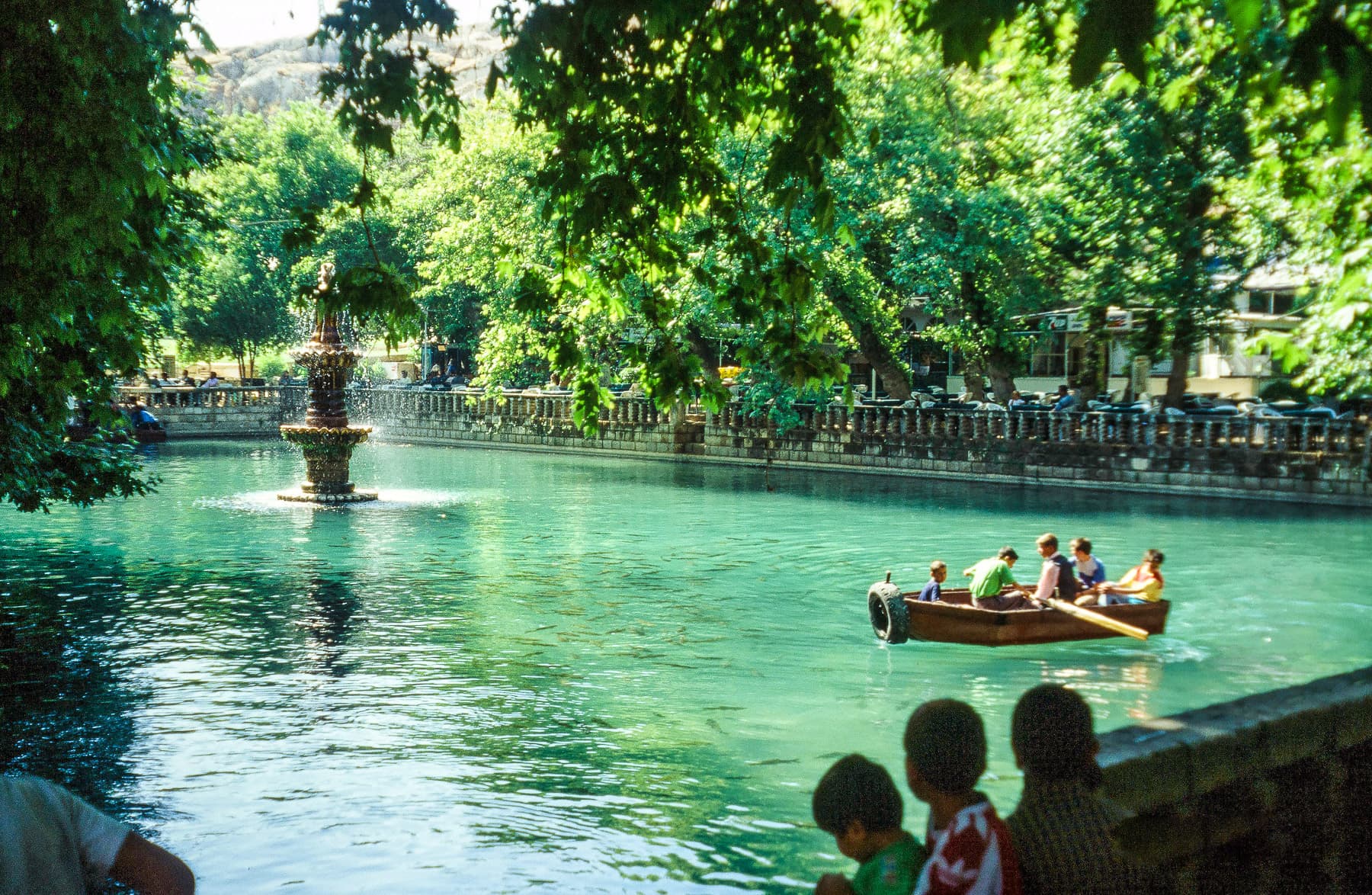 Carp Pool 4