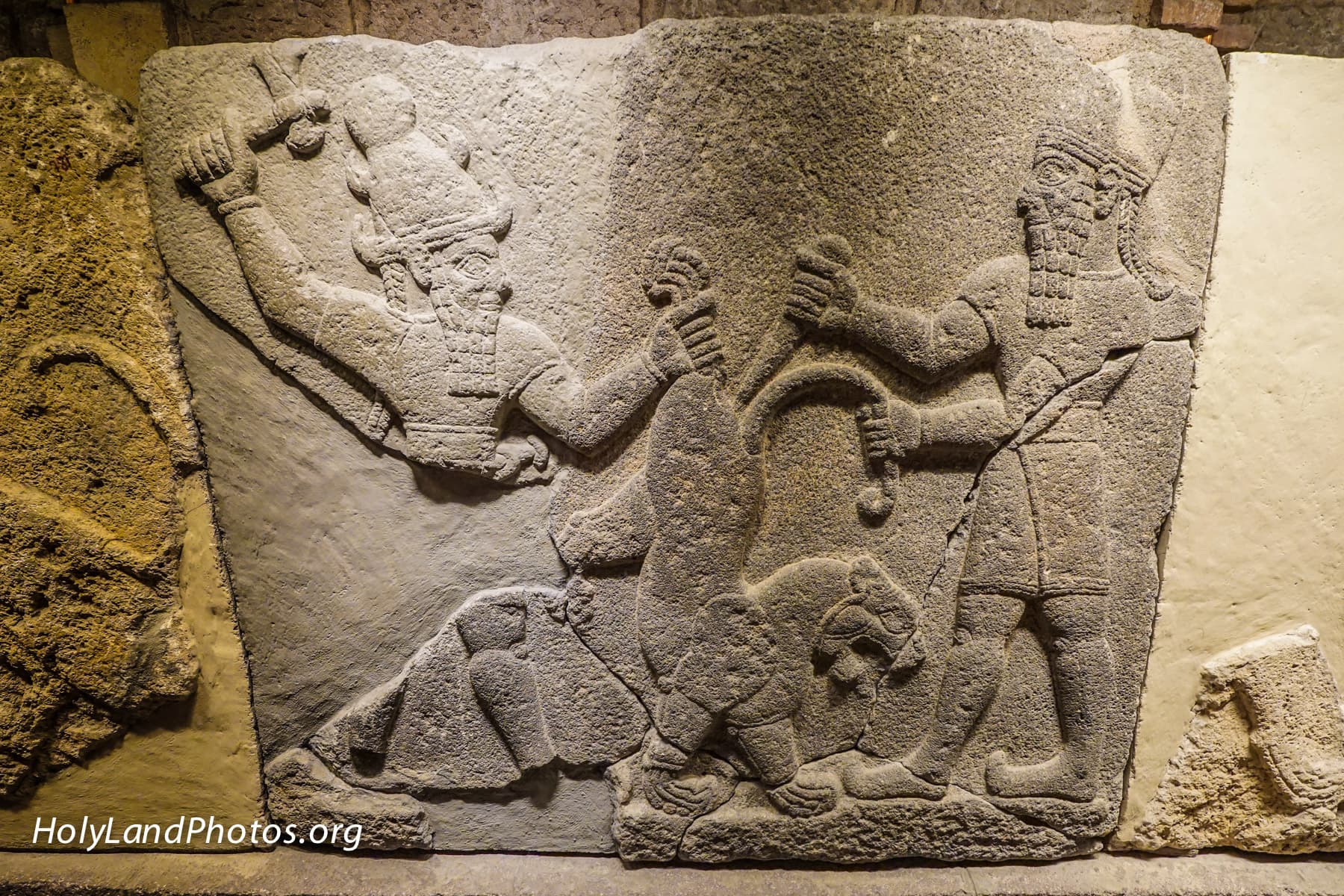 Killing of a Lion