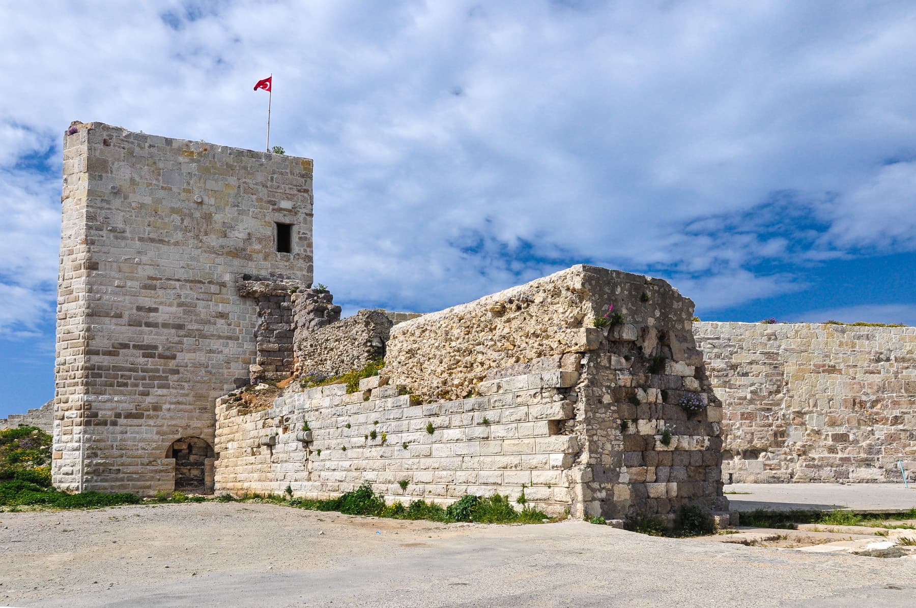 Wall & Tower