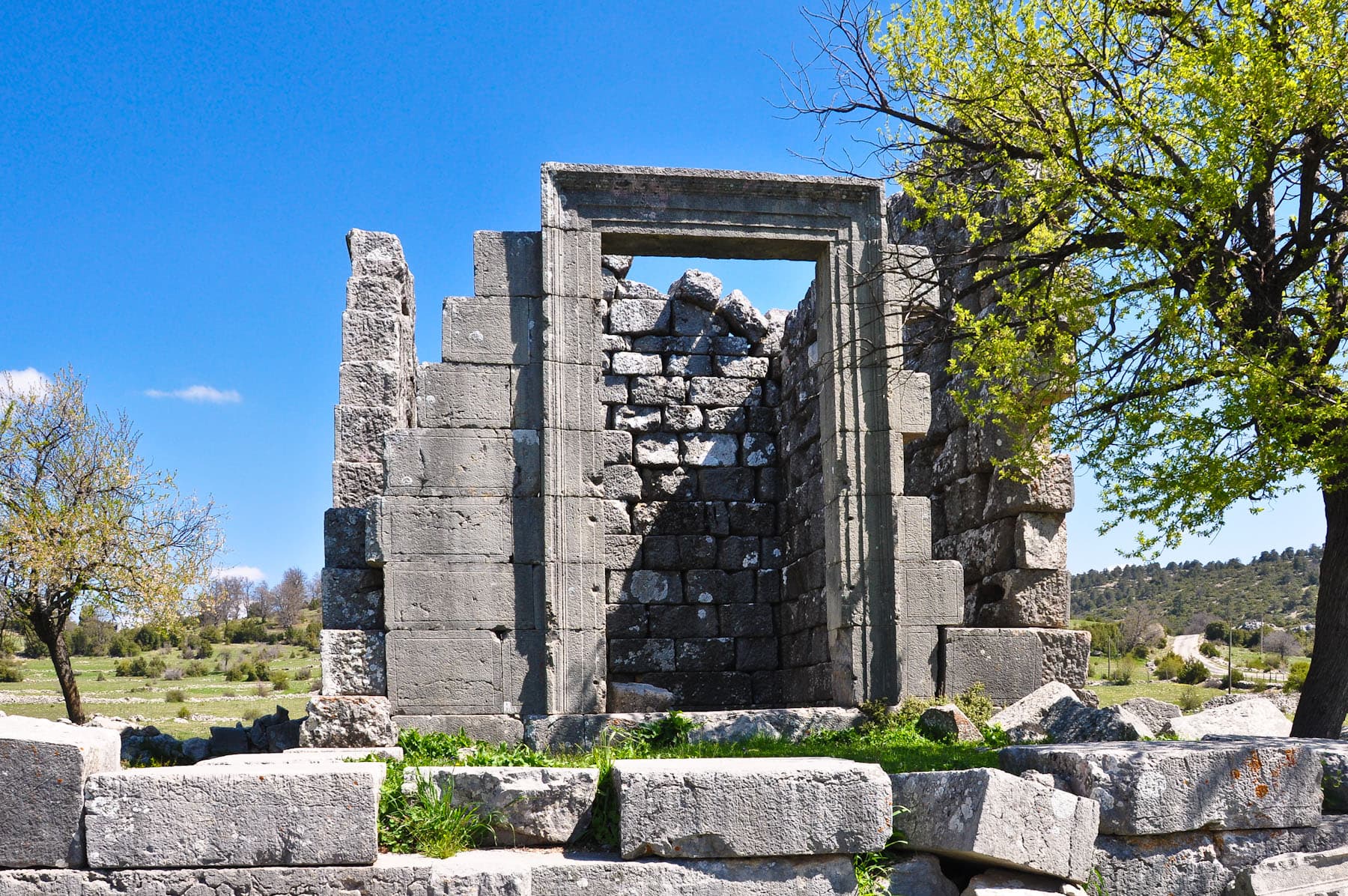 TE Entrance