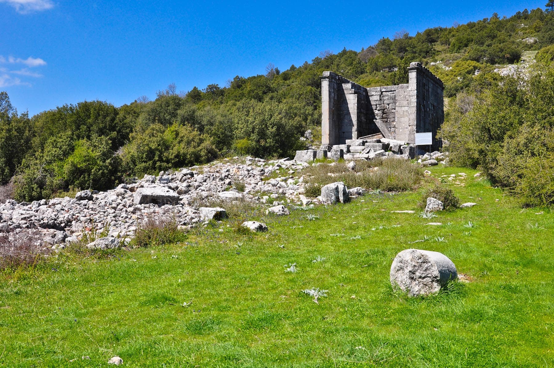Temple of Emperors and Zeus