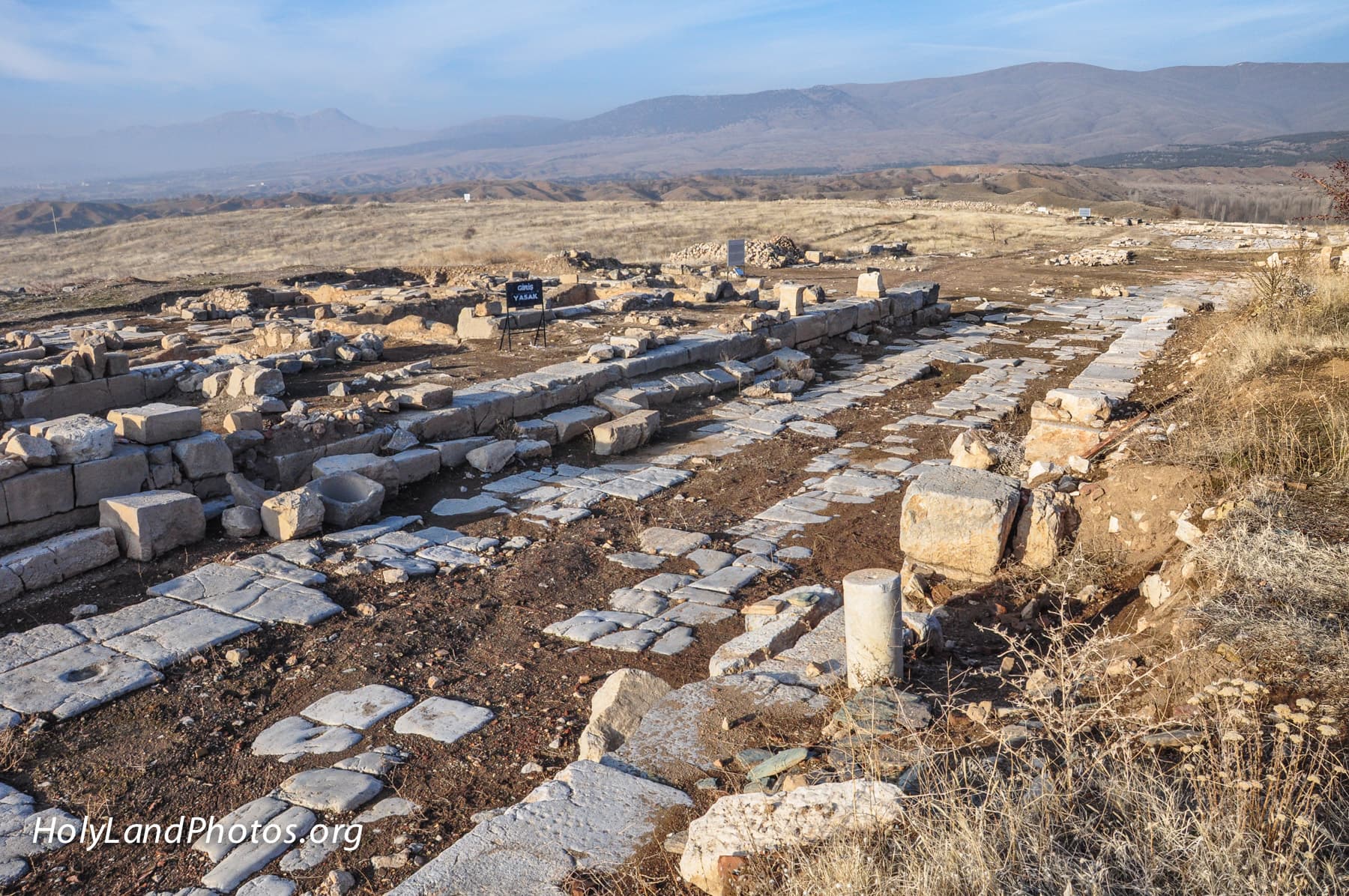 Cardo New Excavations